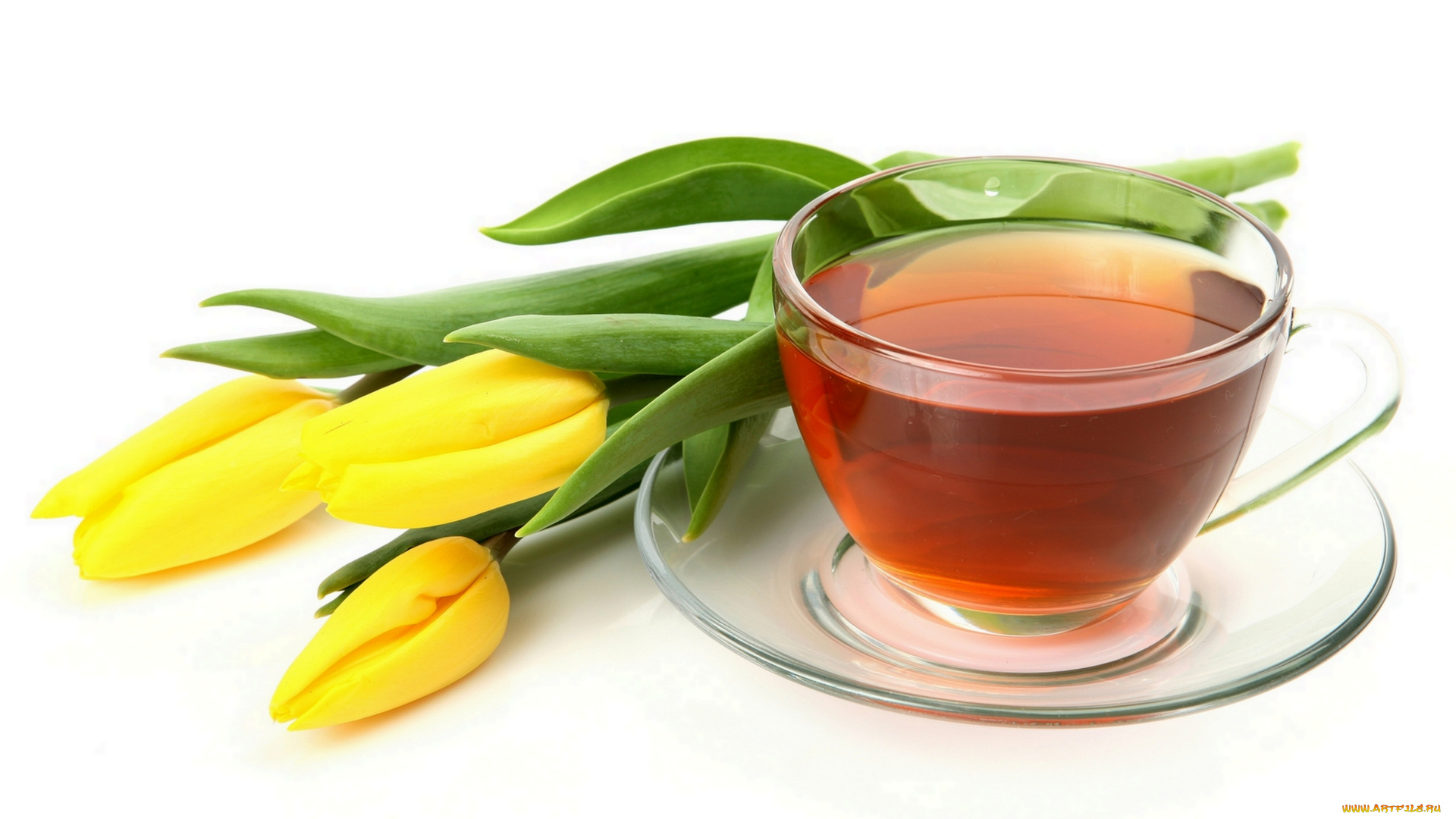 еда, напитки, Чай, чай, тюльпаны, цветы