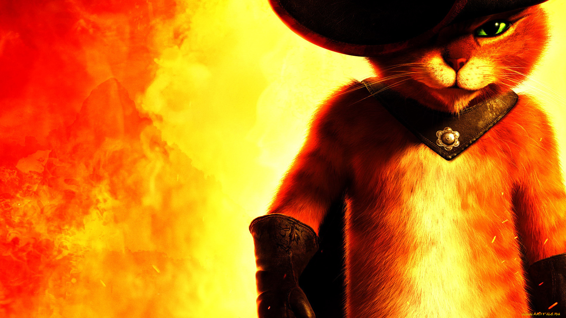 кот, сапогах, мультфильмы, puss, in, boots, в