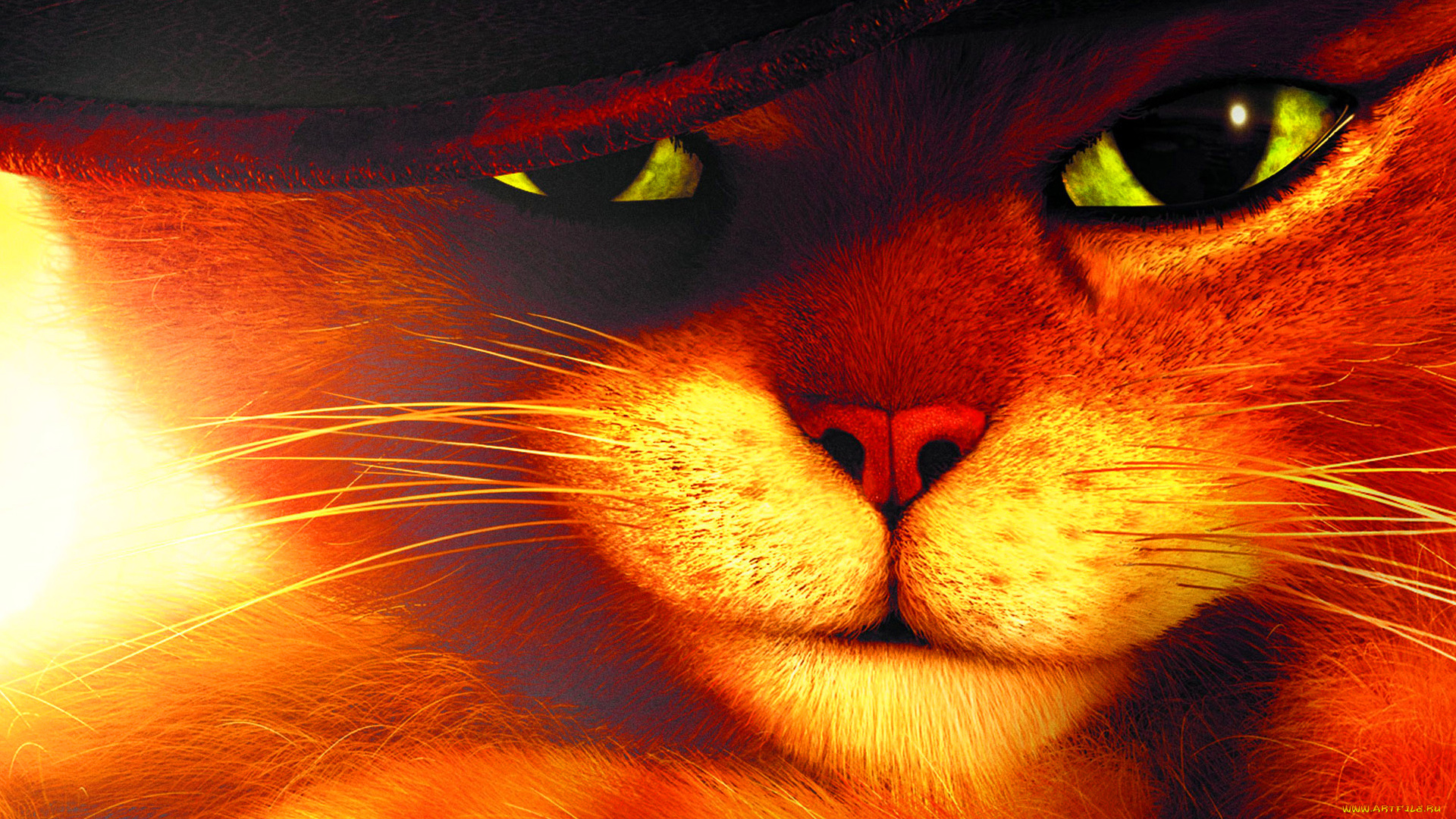 кот, сапогах, мультфильмы, puss, in, boots, в