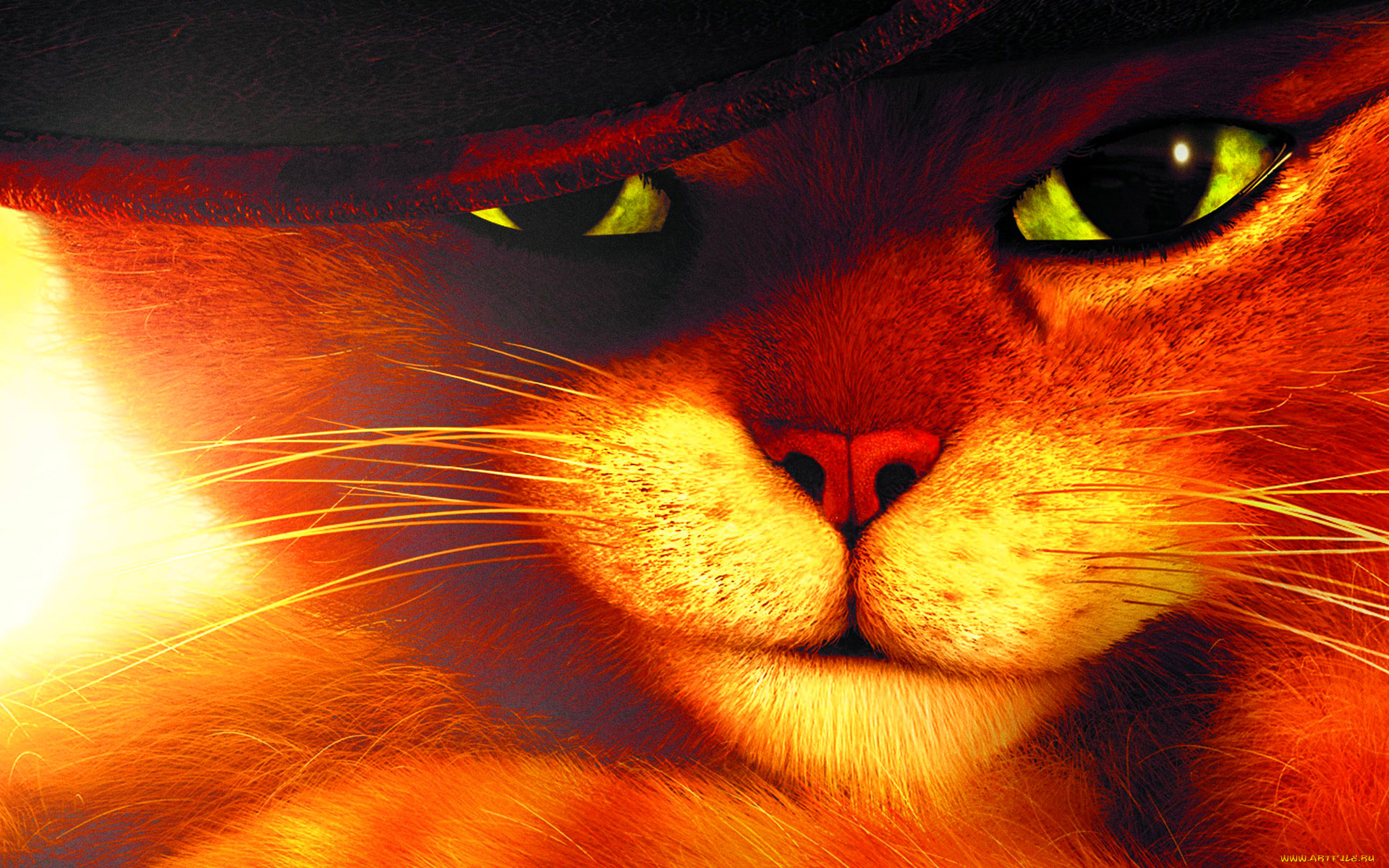 кот, сапогах, мультфильмы, puss, in, boots, в