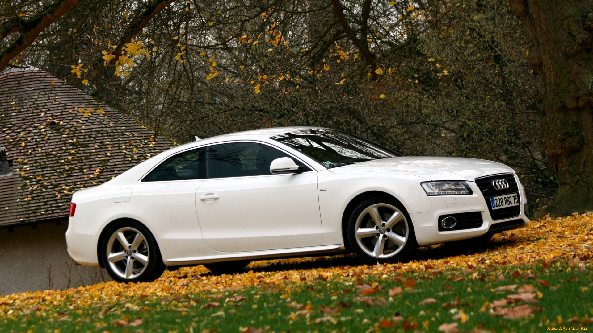 audi, s5, автомобили, германия, легковые, ag, концерн, volkswagen, group