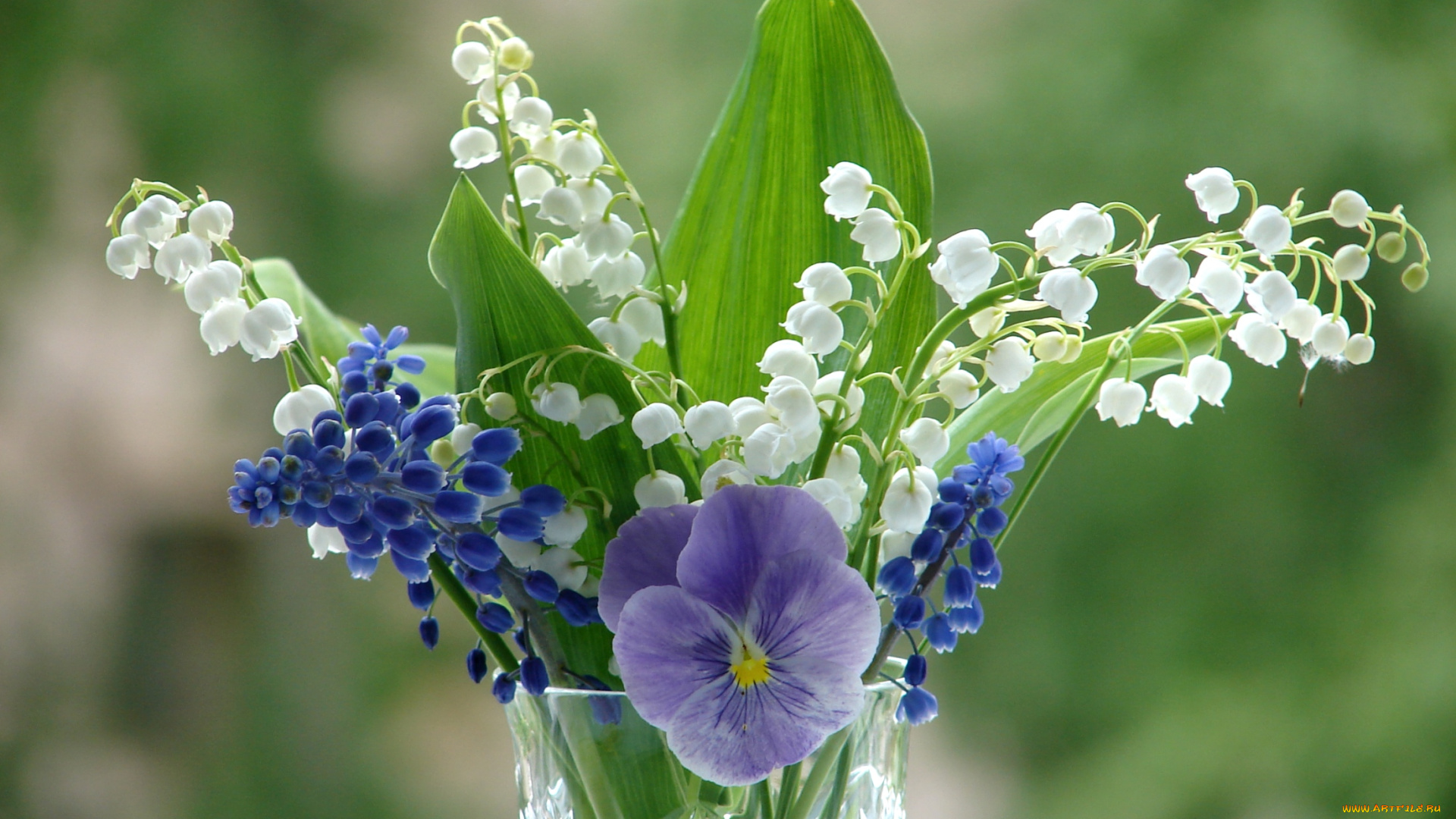 цветы, разные, вместе, ландыши, гиацинт, фиалка