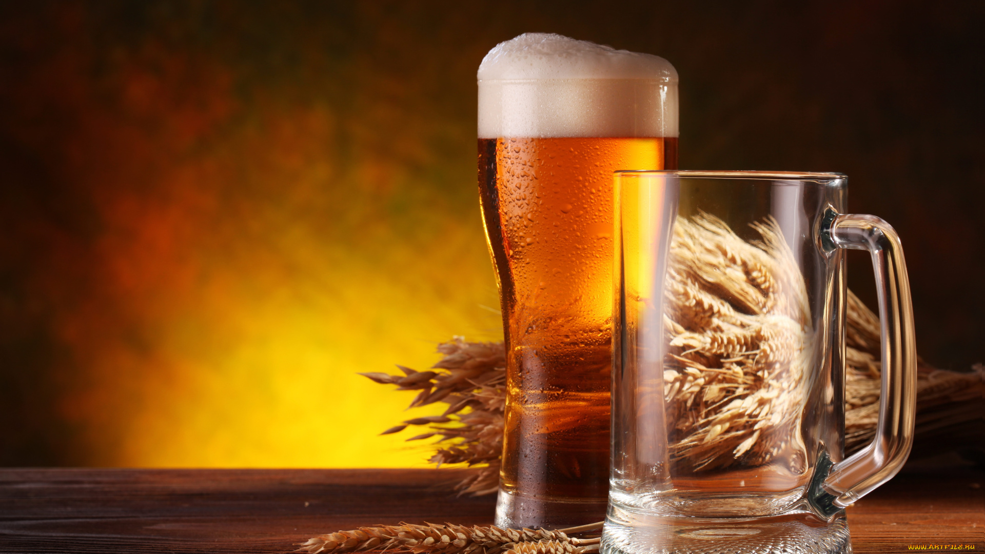 еда, напитки, пиво, кружка, бокал, пена, колосья