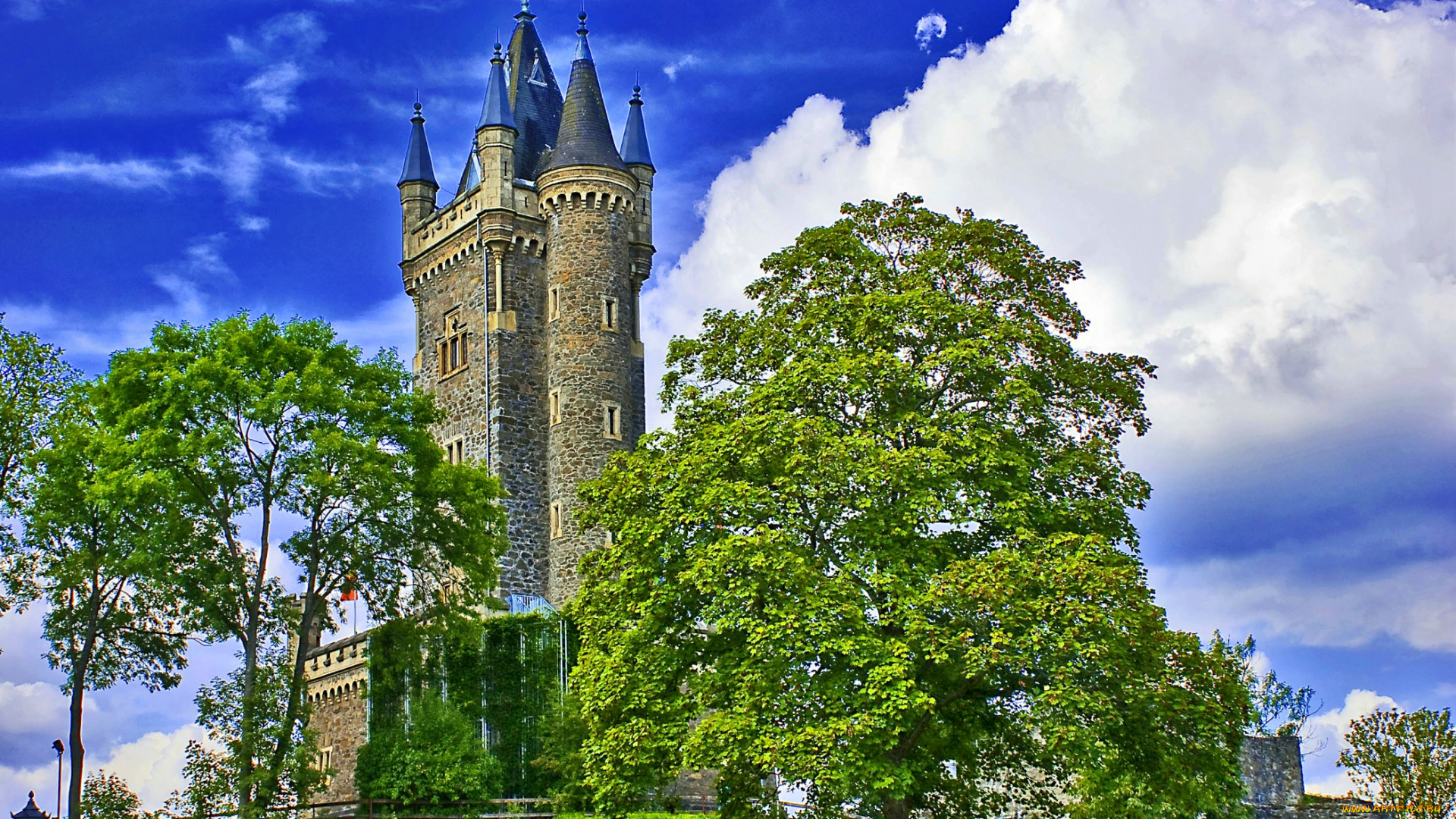 германия, гессен, города, дворцы, замки, крепости, готика, деревья, холм, парк, шпили, башни, замок