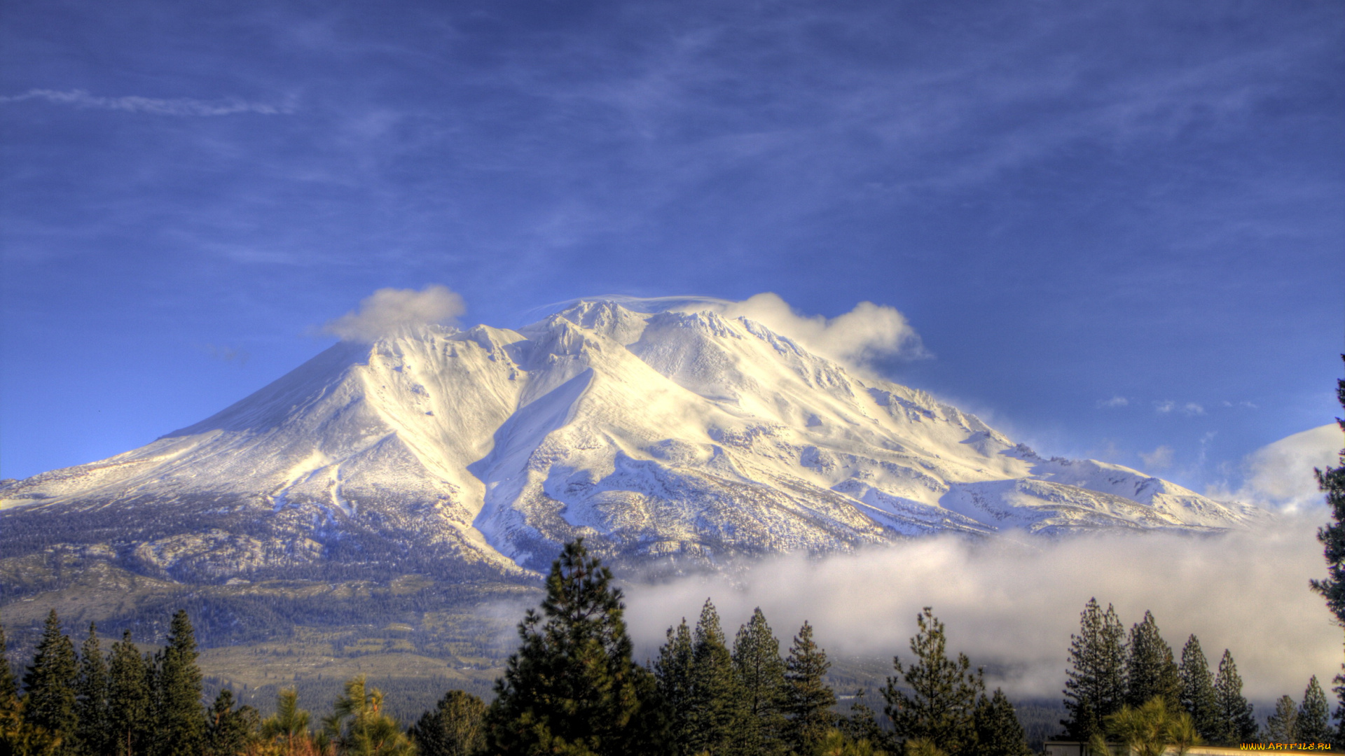 гора, shasta, калифорния, сша, природа, горы, деоевья