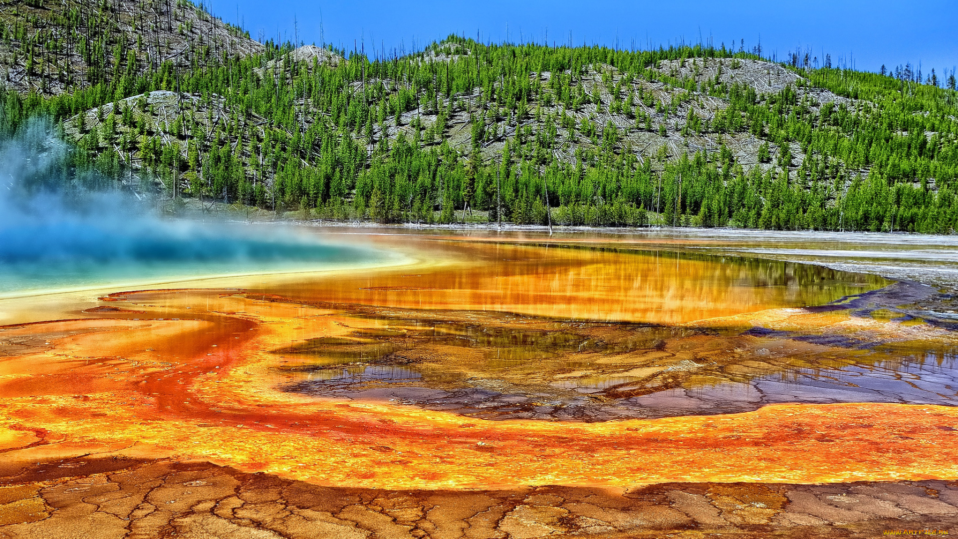 grand, prismatic, spring, yellowstone, national, park, wyoming, природа, реки, озера, горячий, источник, вайоминг, деревья, йеллоустон, большой, призматический