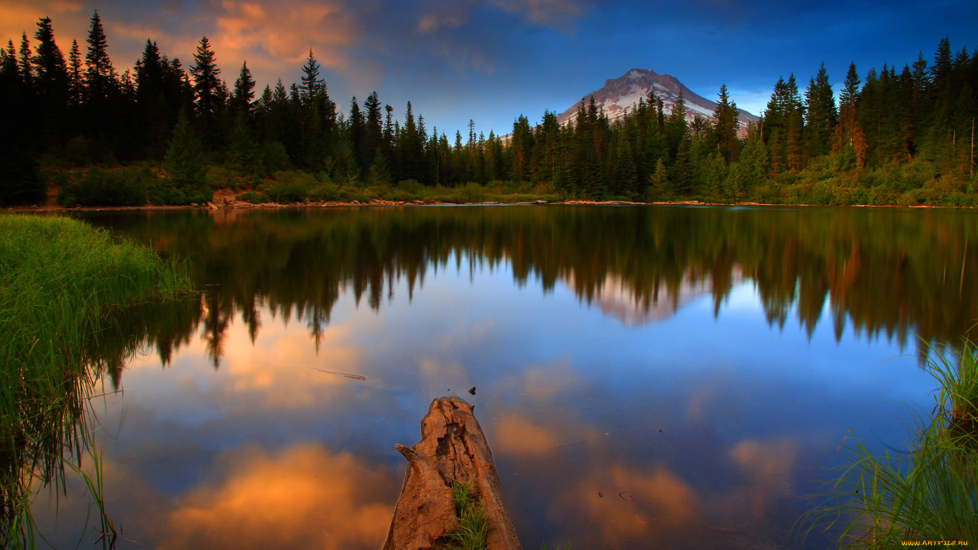 mt, hood, national, forest, oregon, природа, реки, озера, озеро, лес, парк, трава