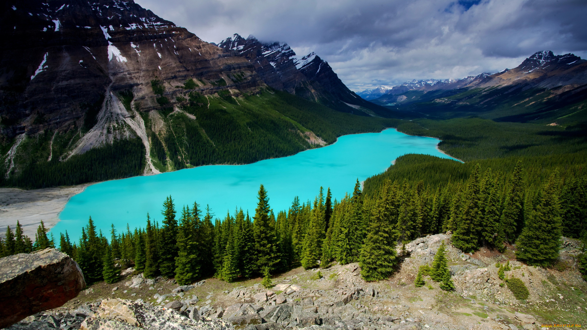 peyto, lake, banff, canada, природа, реки, озера, канада, банф, горы, лес, озеро