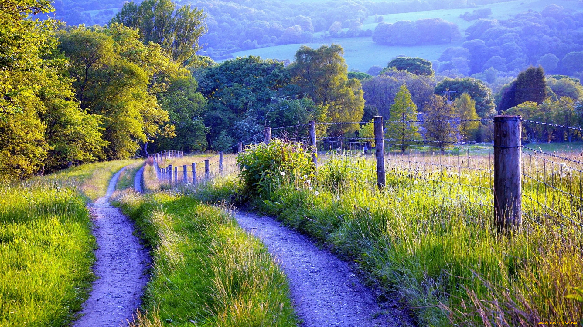 природа, дороги, ограда, дорога, трава, деревья