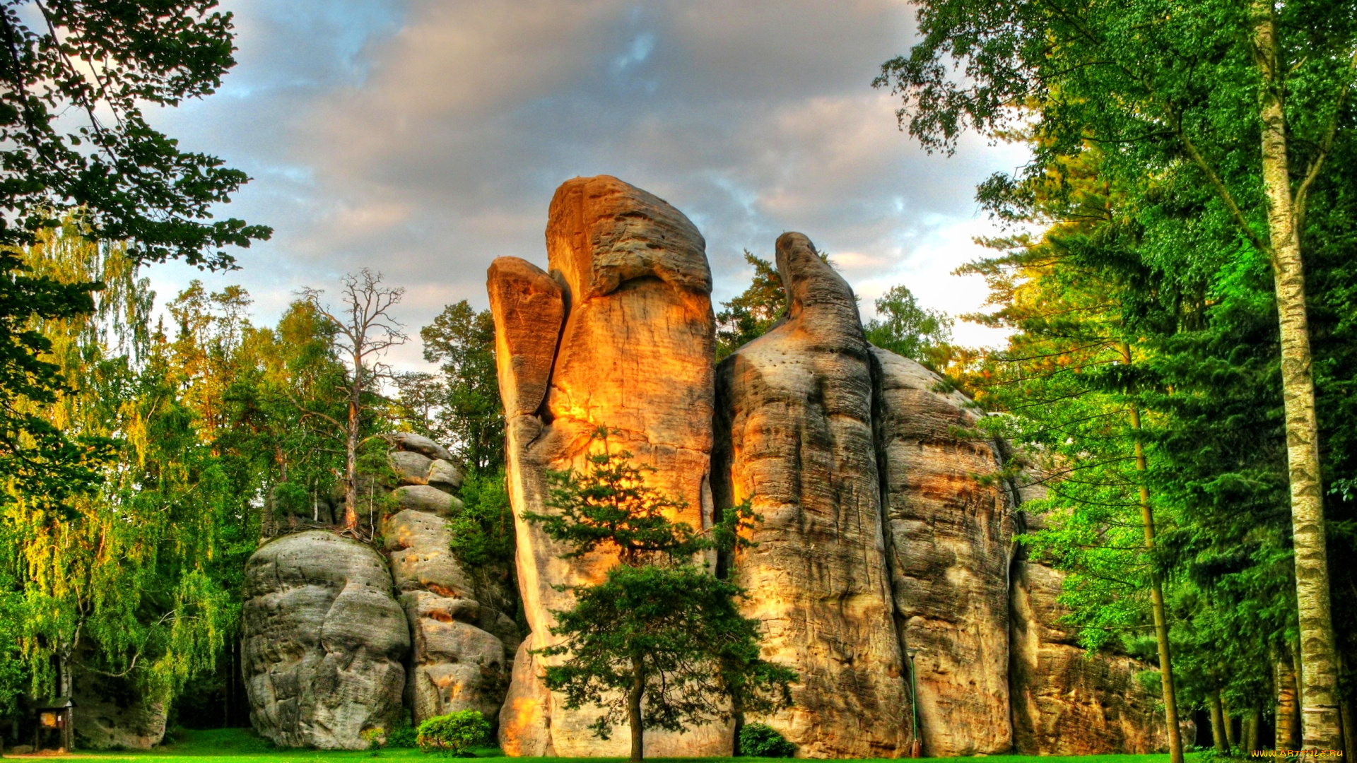 природа, лес, опушка, трава, деревья, скалы