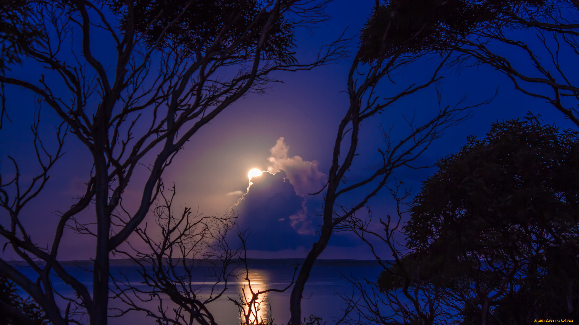 природа, пейзажи, река, деревья, луна