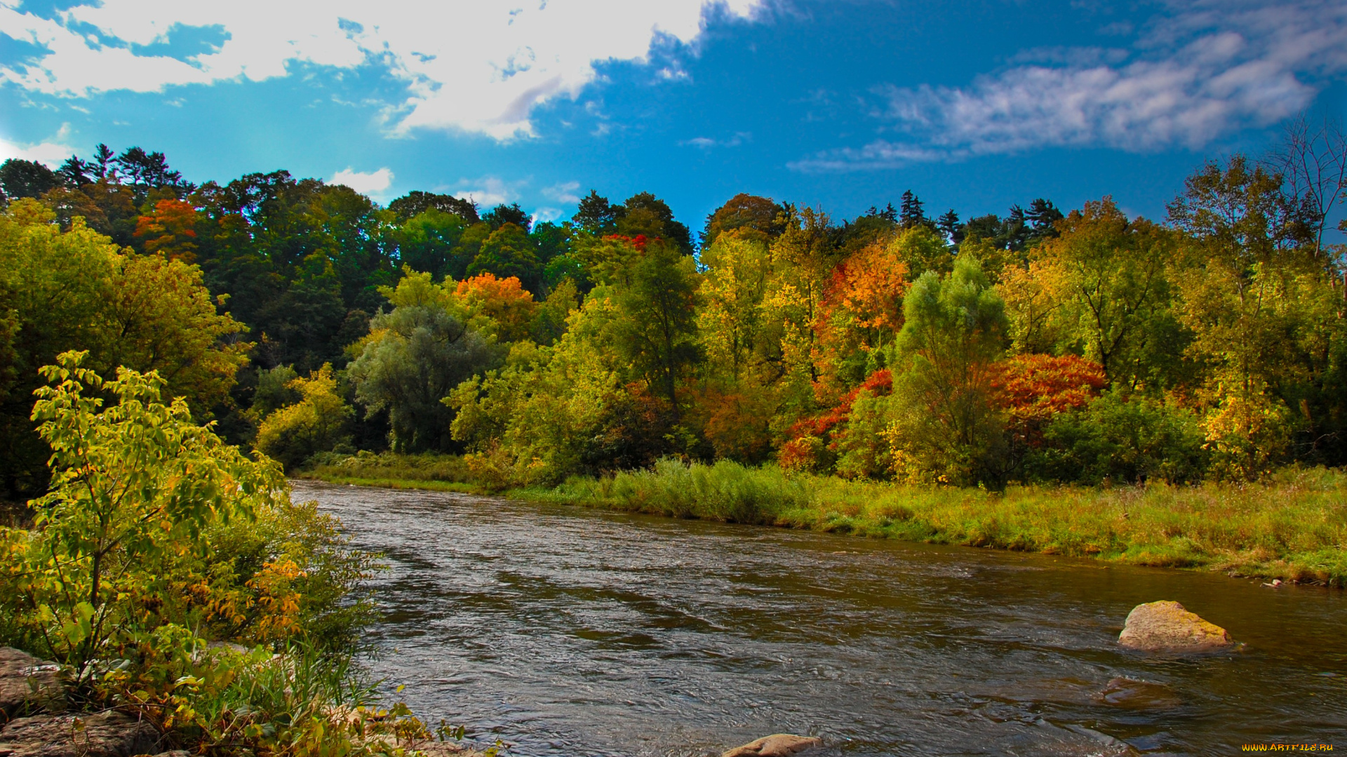 природа, реки, озера, деревья, река, осень