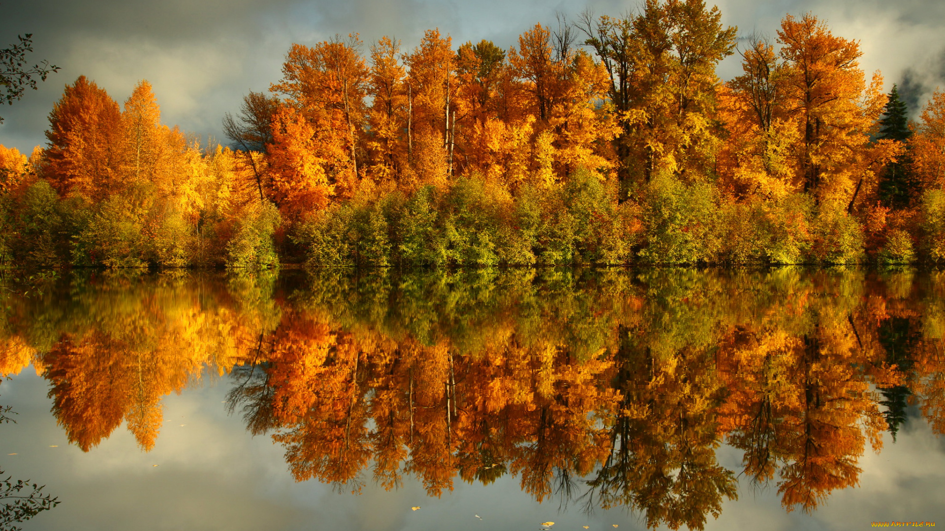 природа, реки, озера, река, осень, лес