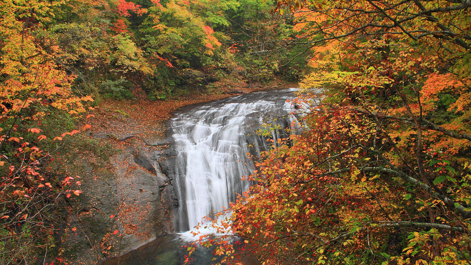 природа, водопады, лес, река