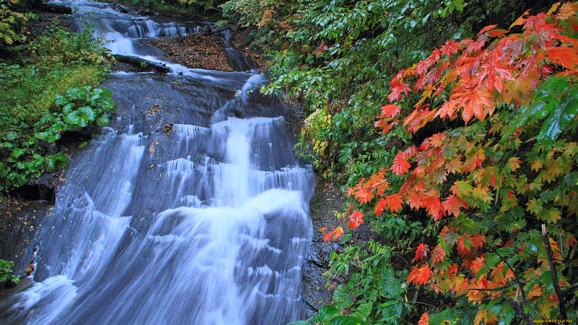 природа, водопады, река, лес