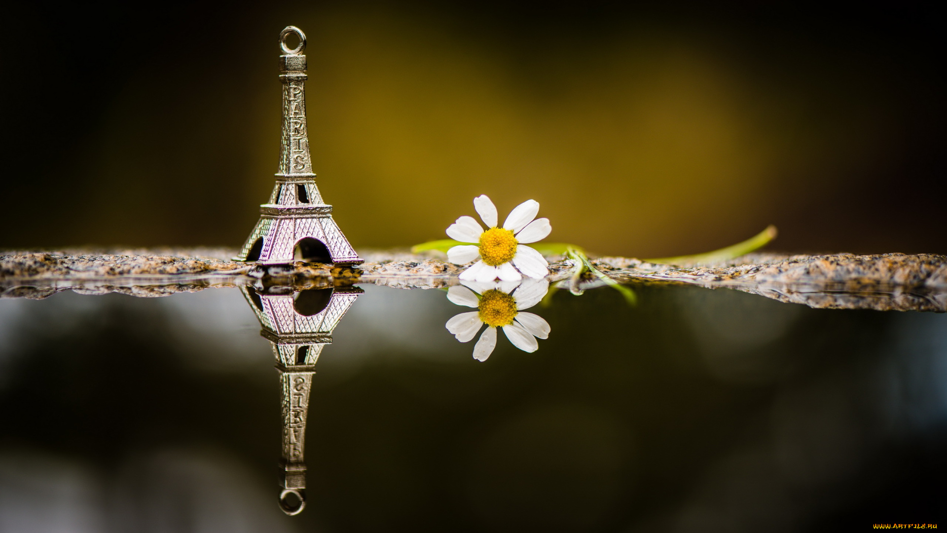 разное, сувениры, отражение, макро, ромашка, сувенир, эйфелева, башня