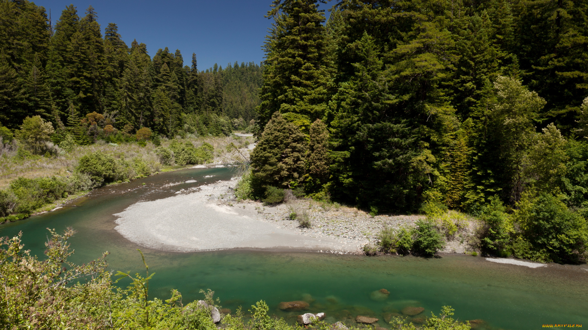 redwoods, state, park, калифорния, природа, реки, озера, река, парк, лес
