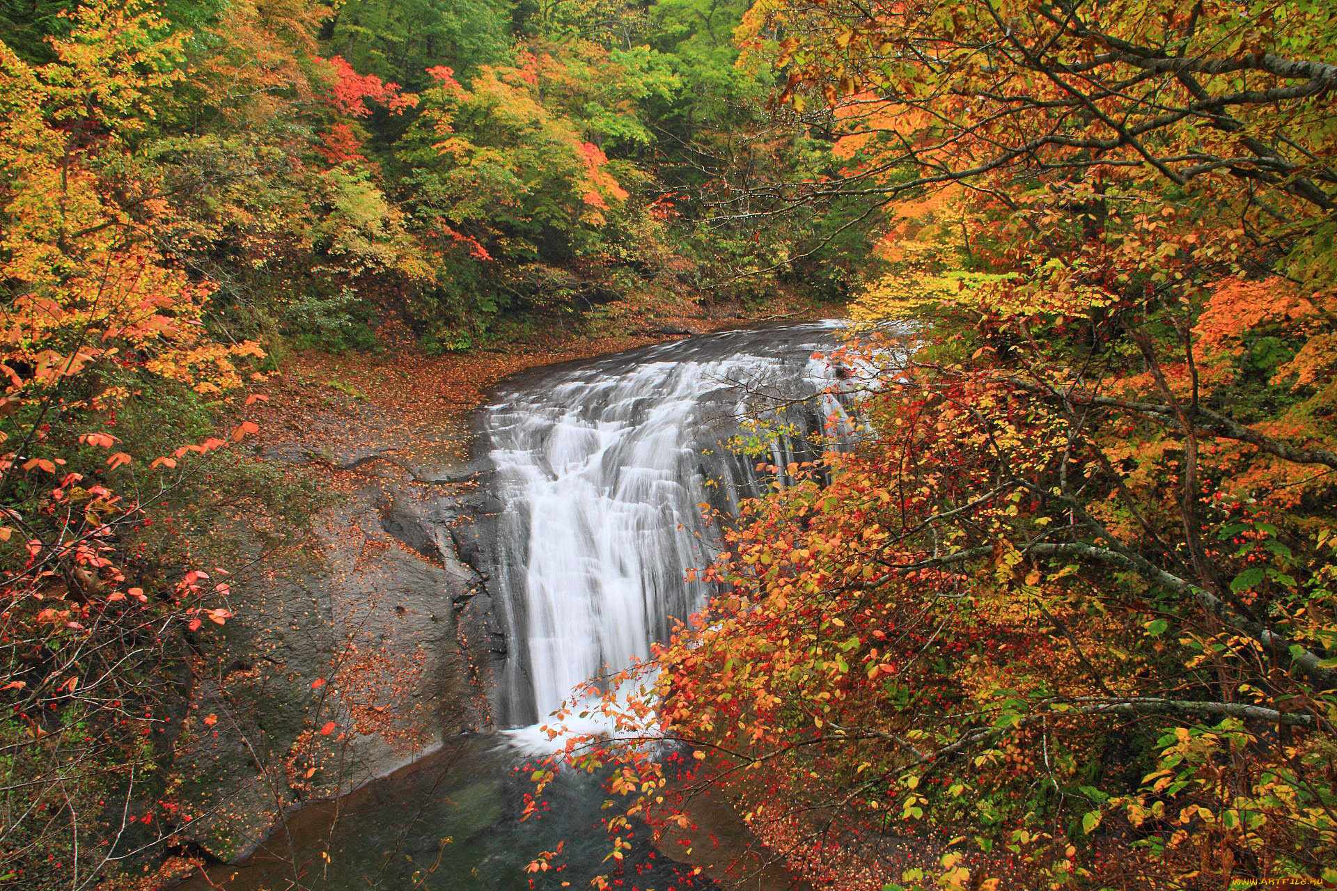 природа, водопады, лес, река