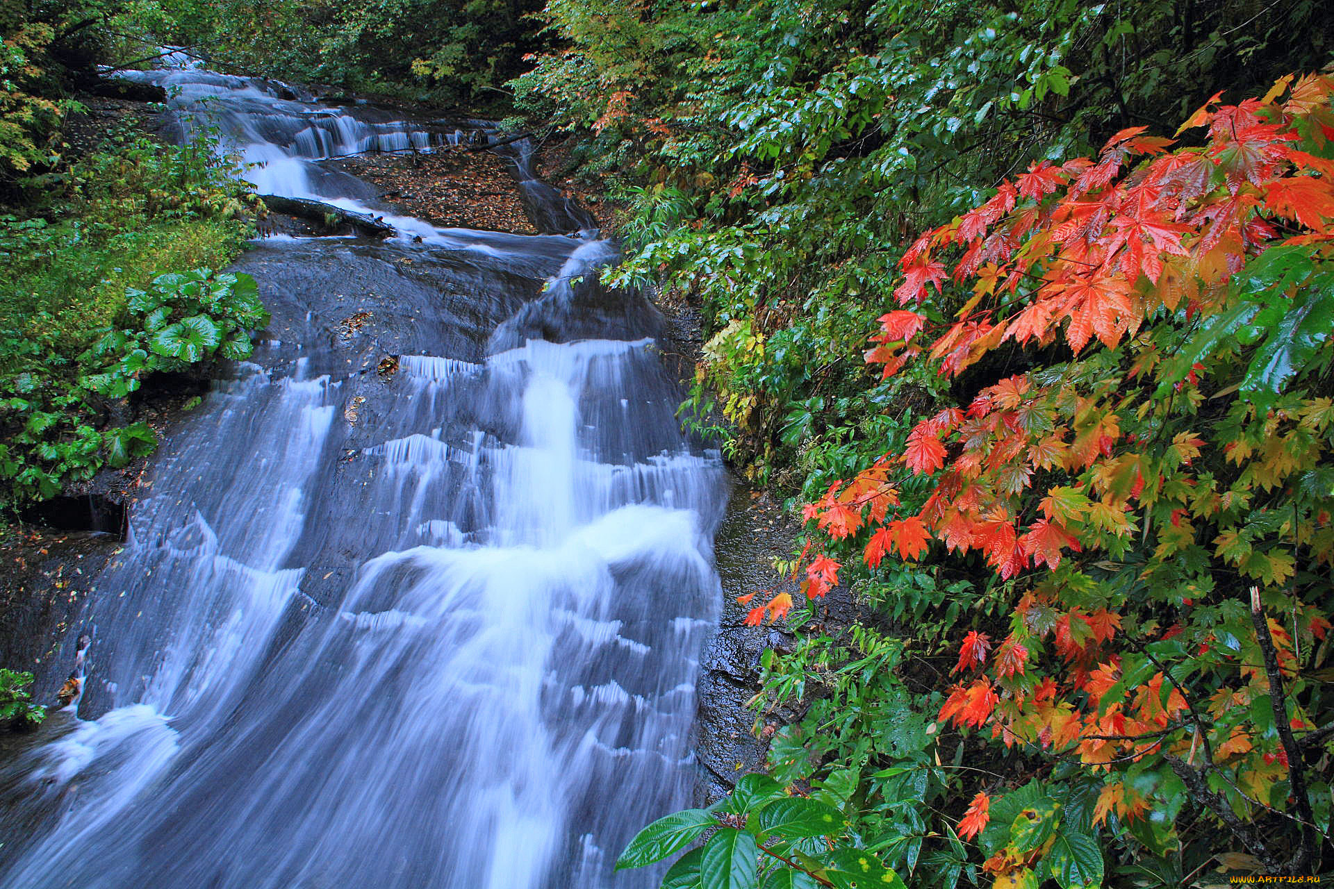 природа, водопады, река, лес