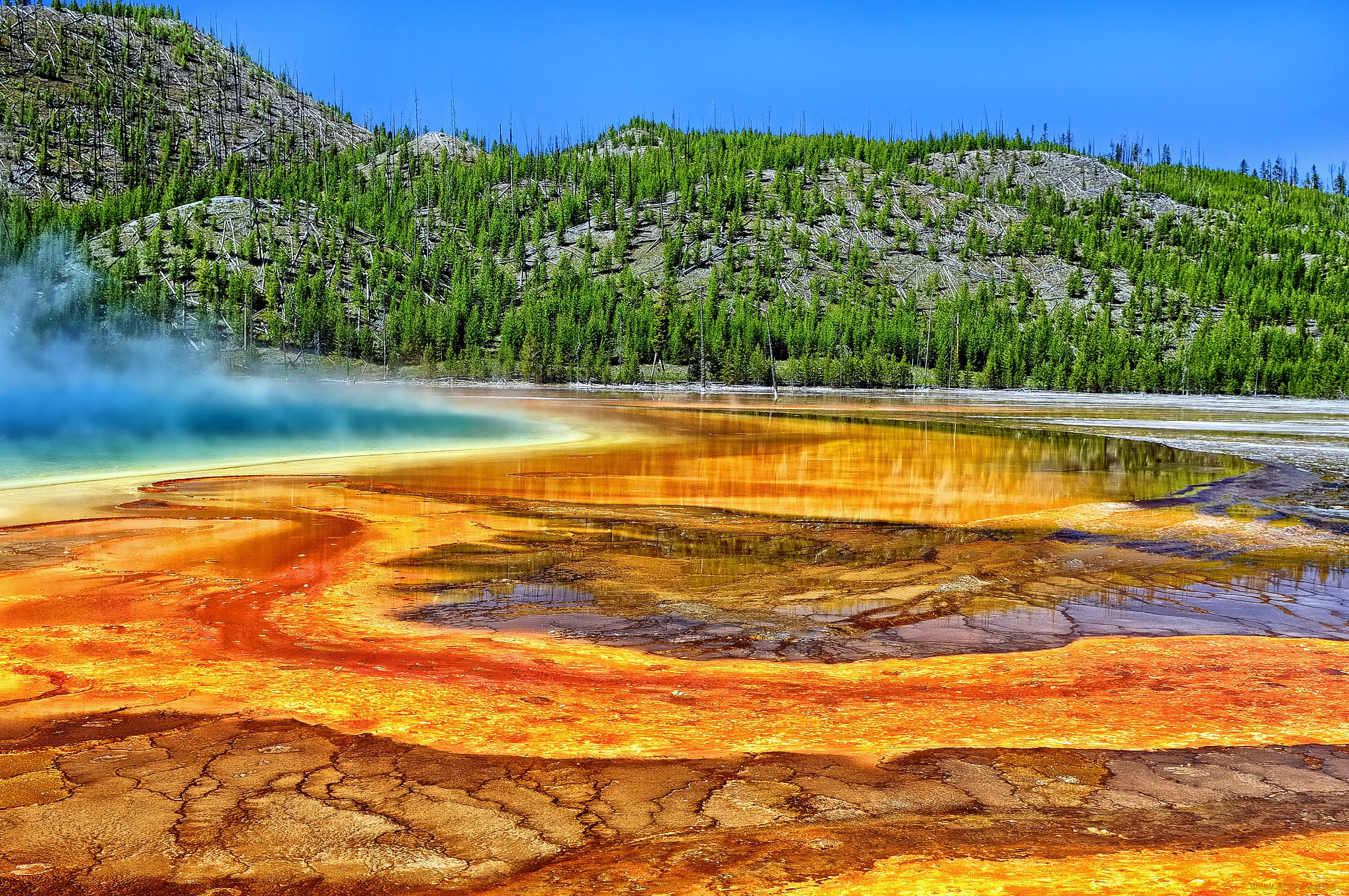 grand, prismatic, spring, yellowstone, national, park, wyoming, природа, реки, озера, горячий, источник, вайоминг, деревья, йеллоустон, большой, призматический