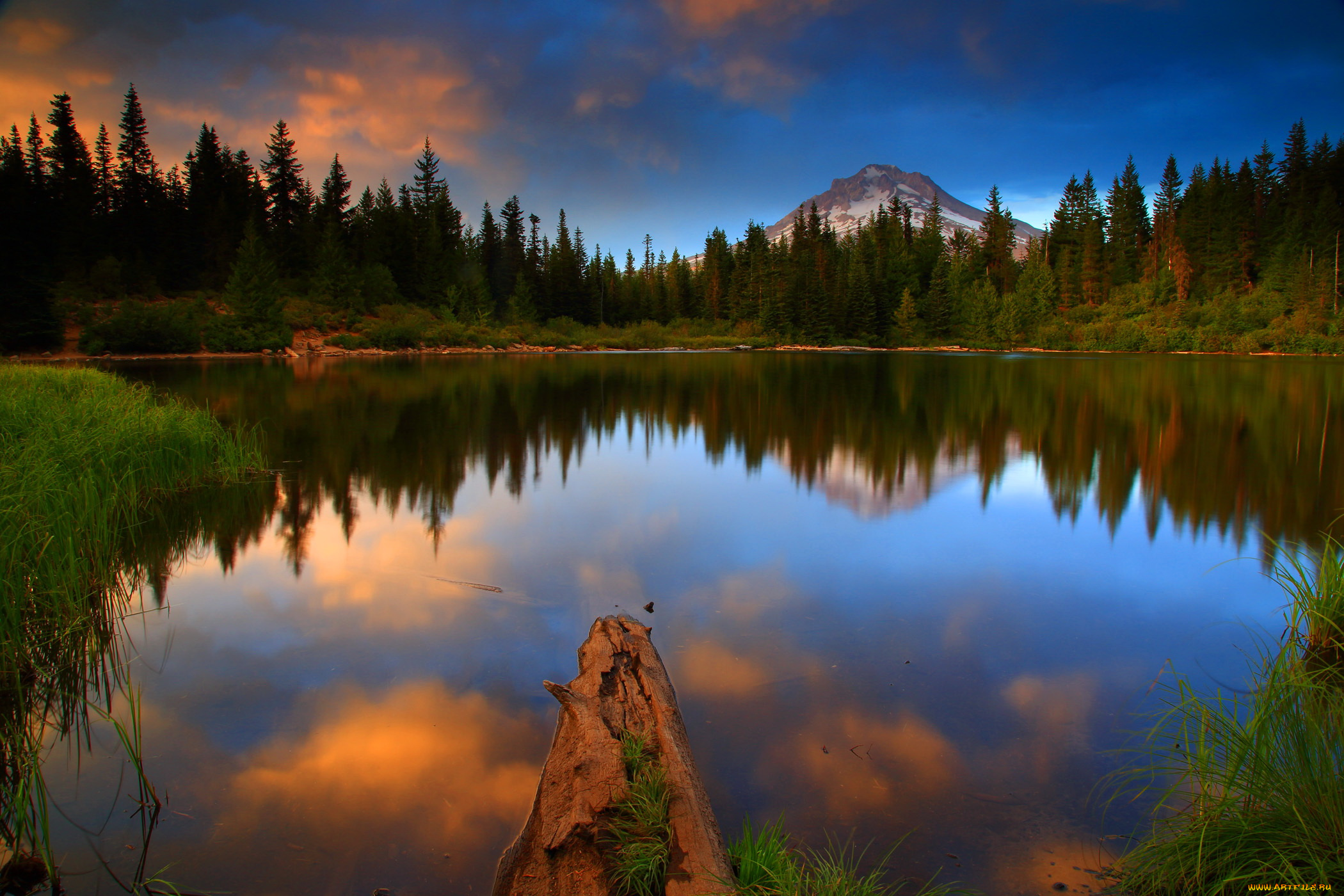 mt, hood, national, forest, oregon, природа, реки, озера, озеро, лес, парк, трава