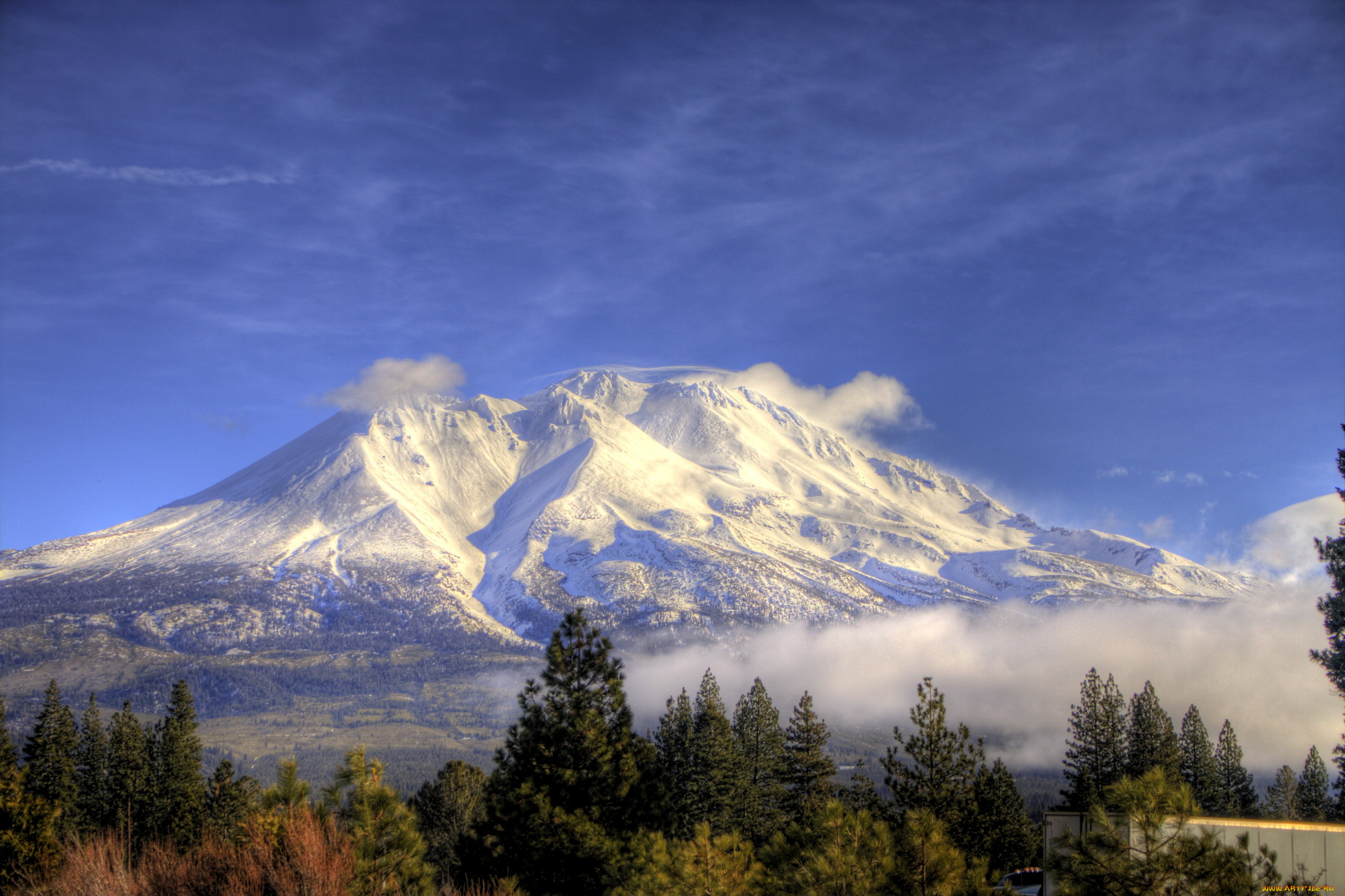 гора, shasta, калифорния, сша, природа, горы, деоевья