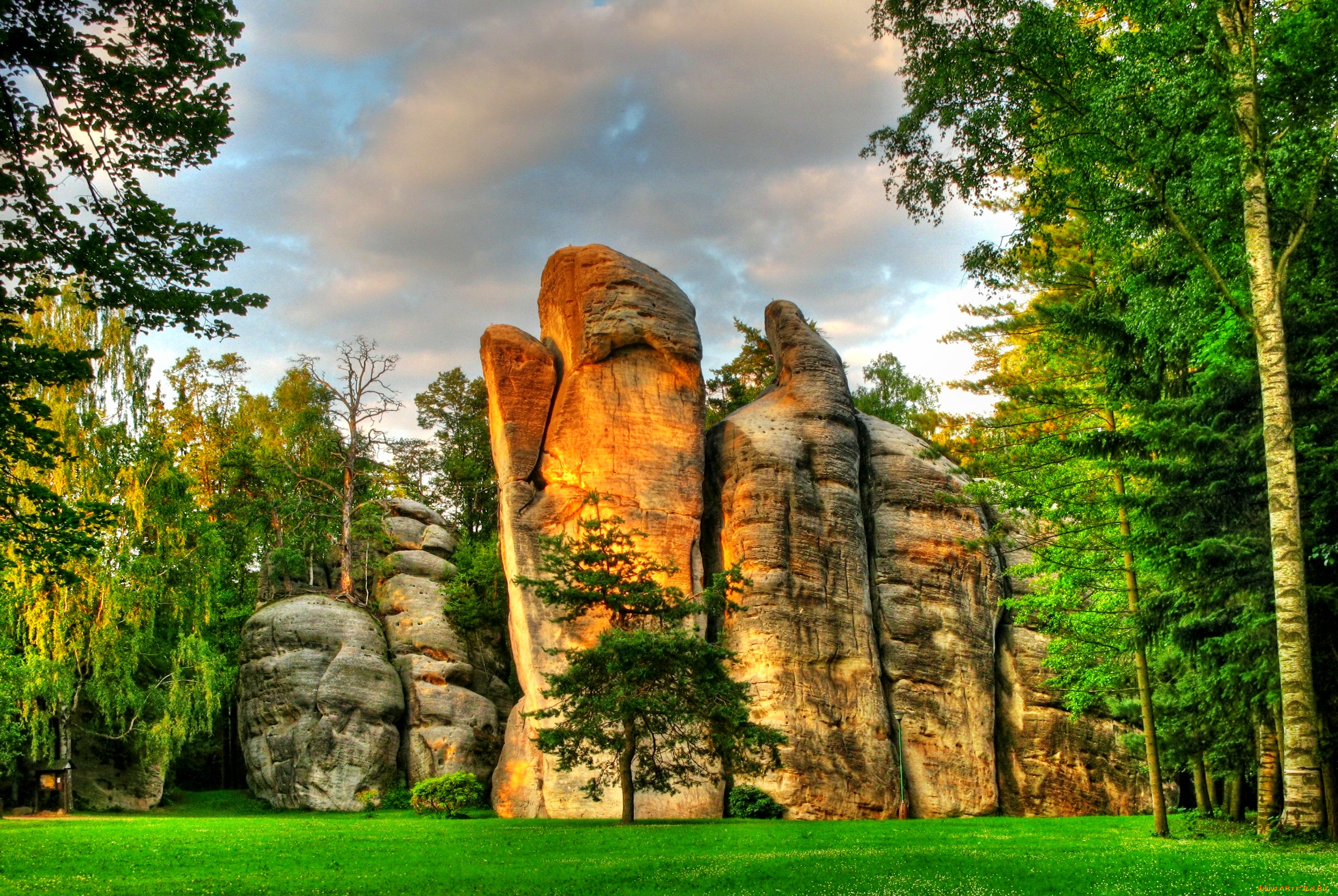 природа, лес, опушка, трава, деревья, скалы