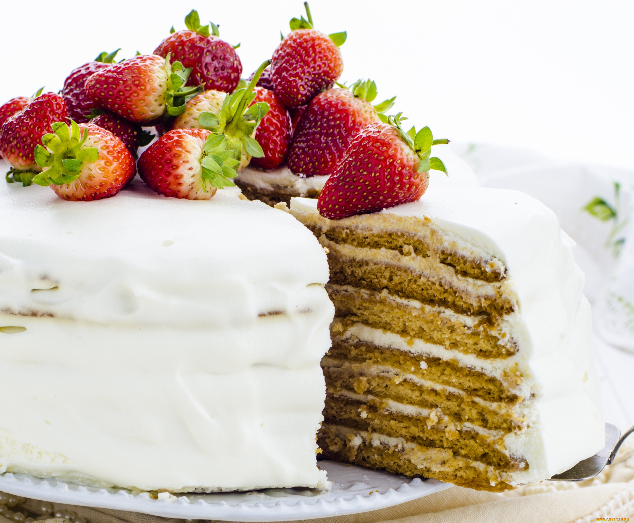 еда, торт, только, клубника, медовик