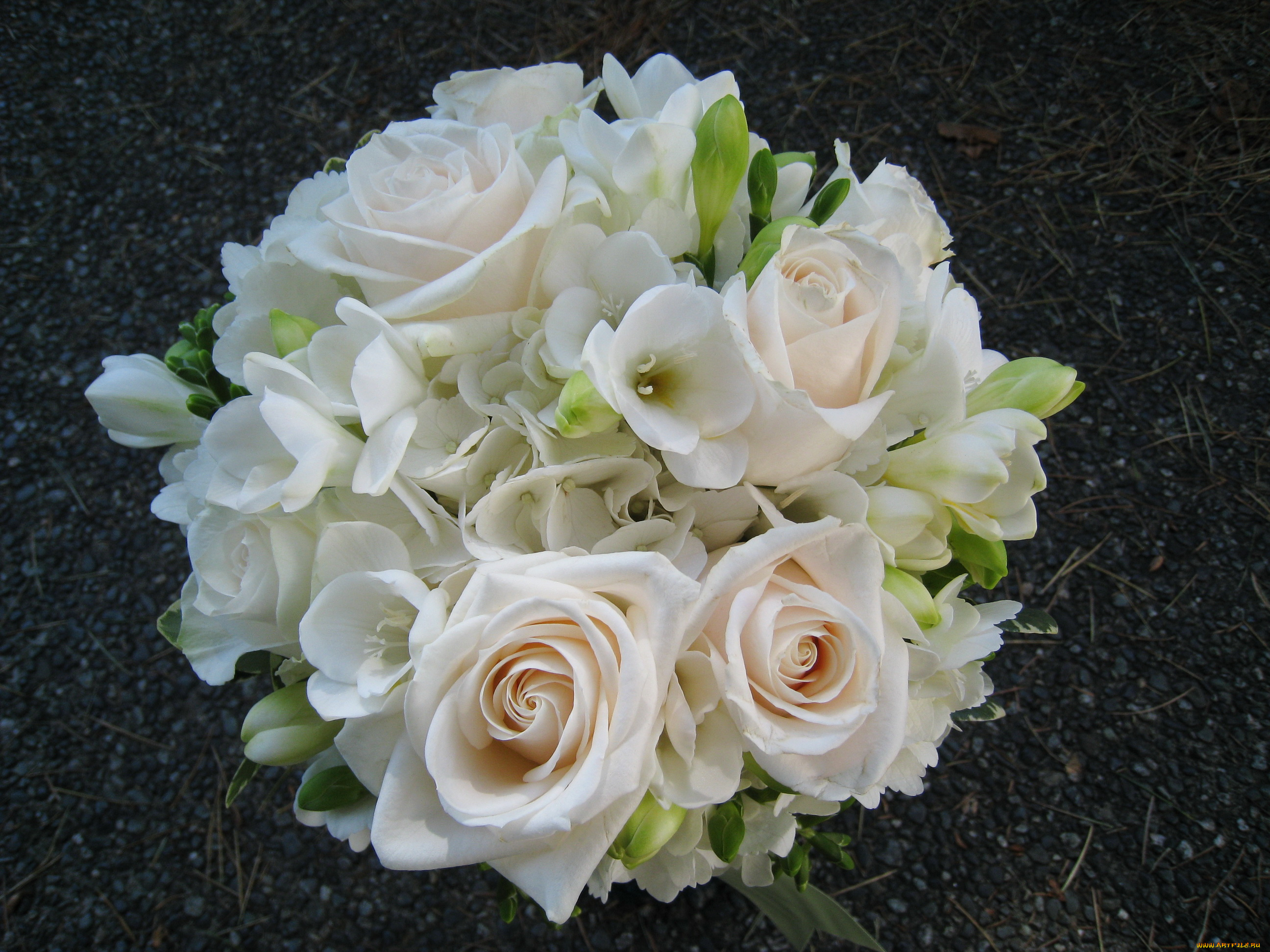 цветы, букеты, композиции, фрезии, розы, букет