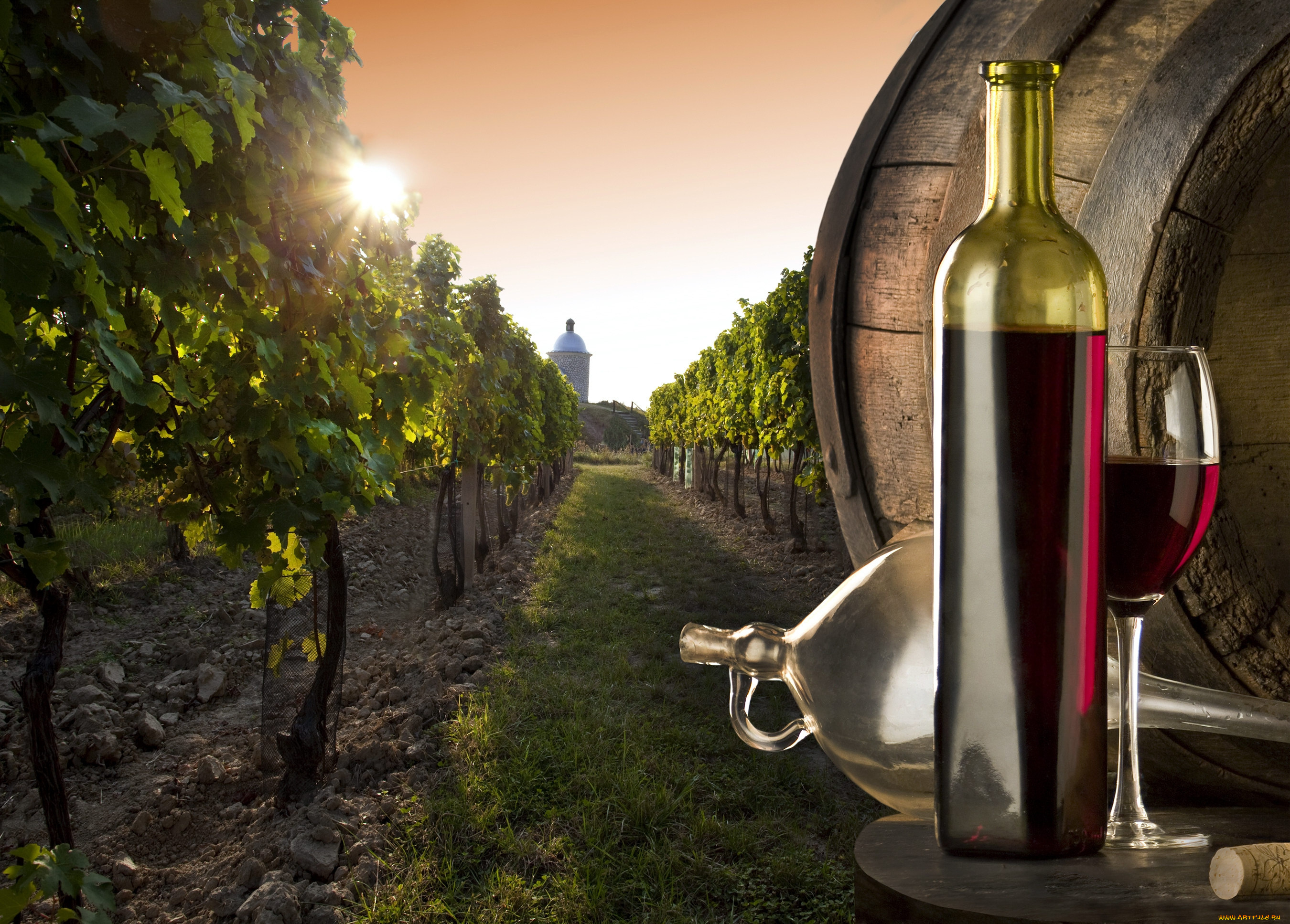 еда, напитки, вино, виноградник, поле, бочка, бутылка, бокал, пробка