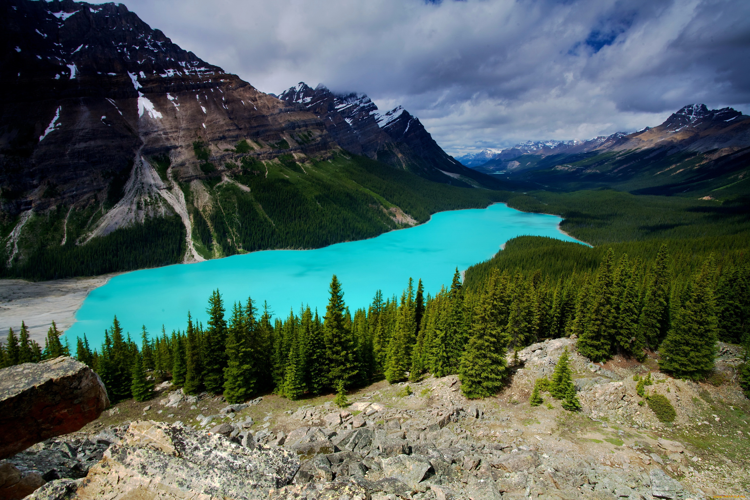 peyto, lake, banff, canada, природа, реки, озера, канада, банф, горы, лес, озеро
