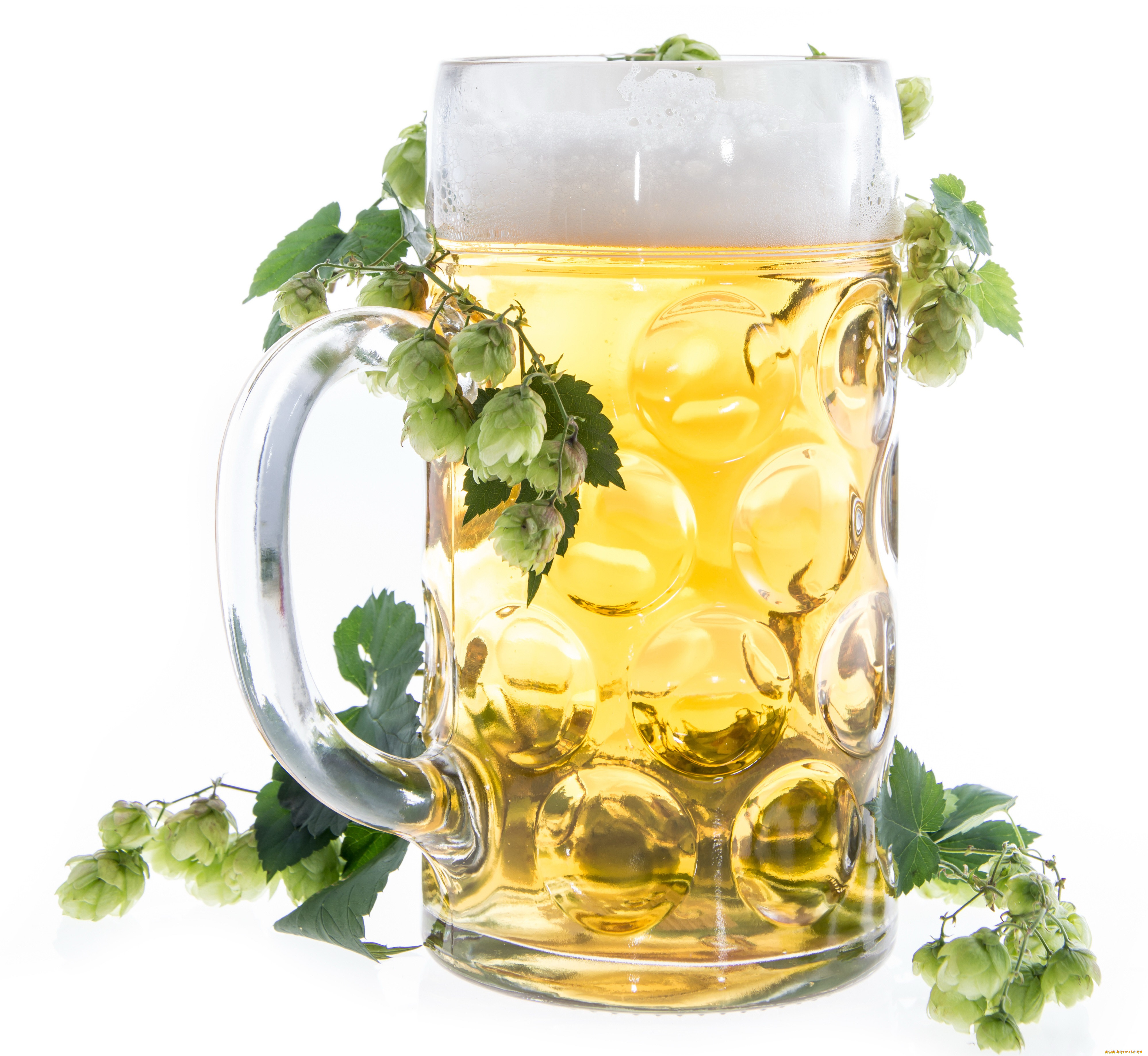 еда, напитки, пиво, хмель, ружка