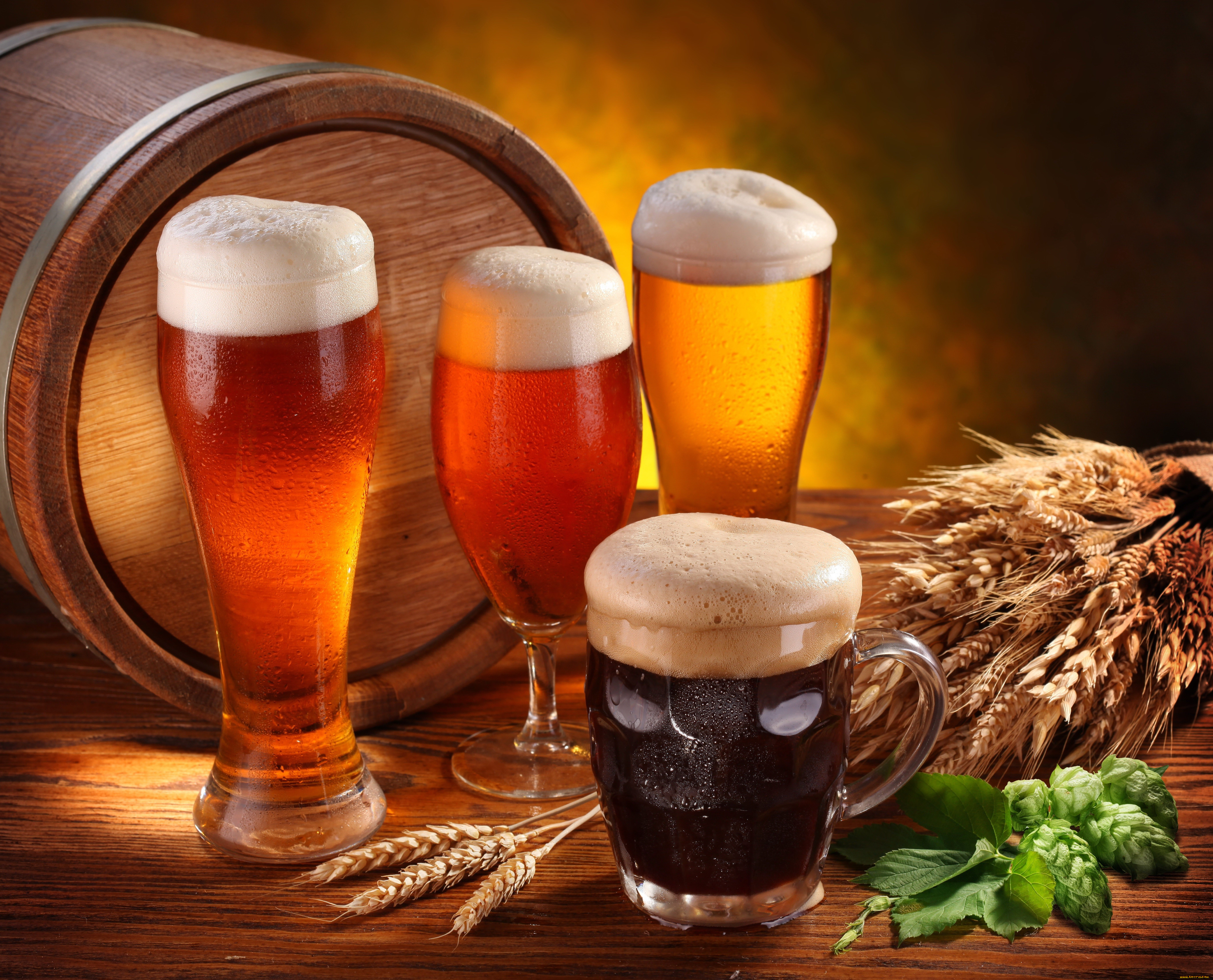 еда, напитки, пиво, бочка, кружка, бокалы, пена, хмель, колосья