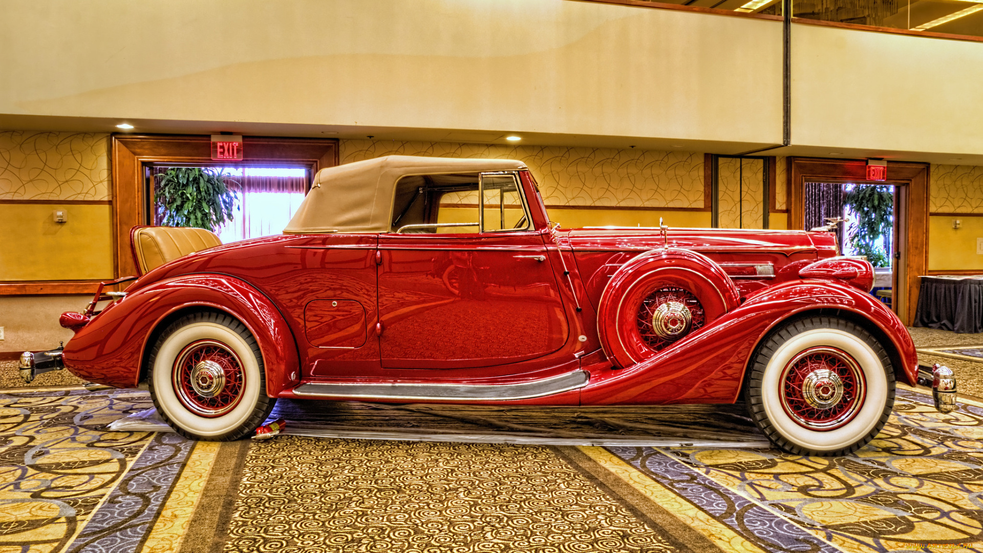 1936, packard, twelve, bohman, &, schwartz, coupe, roadster, автомобили, выставки, и, уличные, фото, выставка, автошоу
