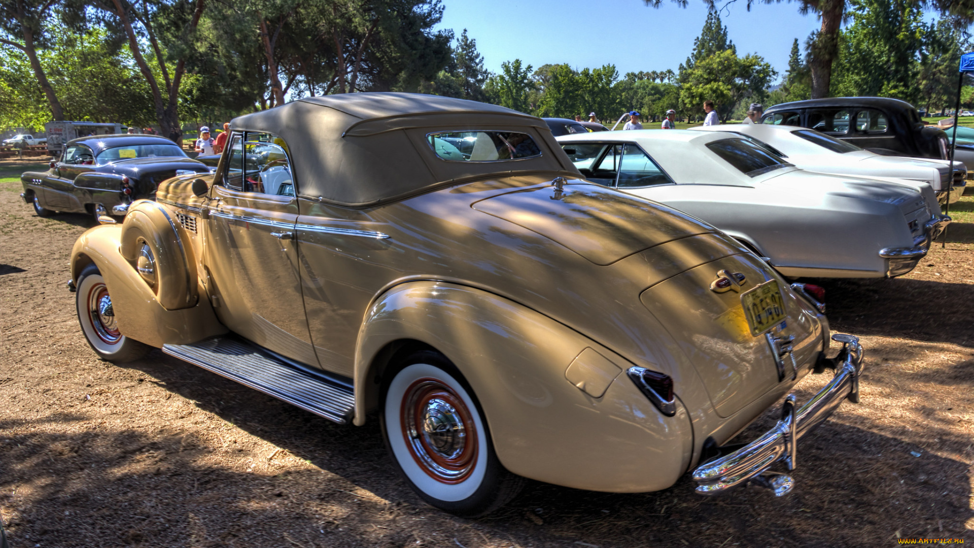 1938, buick, century, автомобили, выставки, и, уличные, фото, автошоу, выставка
