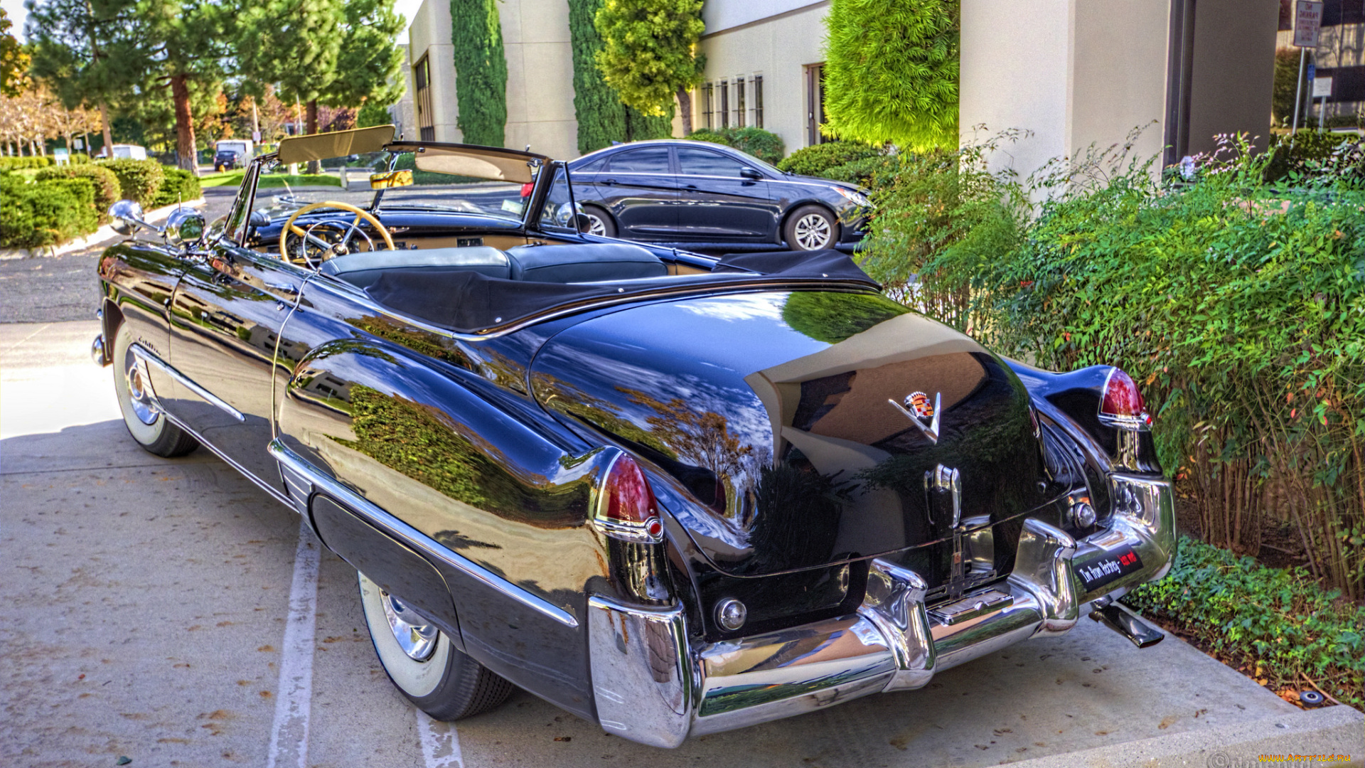 1949, cadillac, convertible, автомобили, выставки, и, уличные, фото, автошоу, выставка