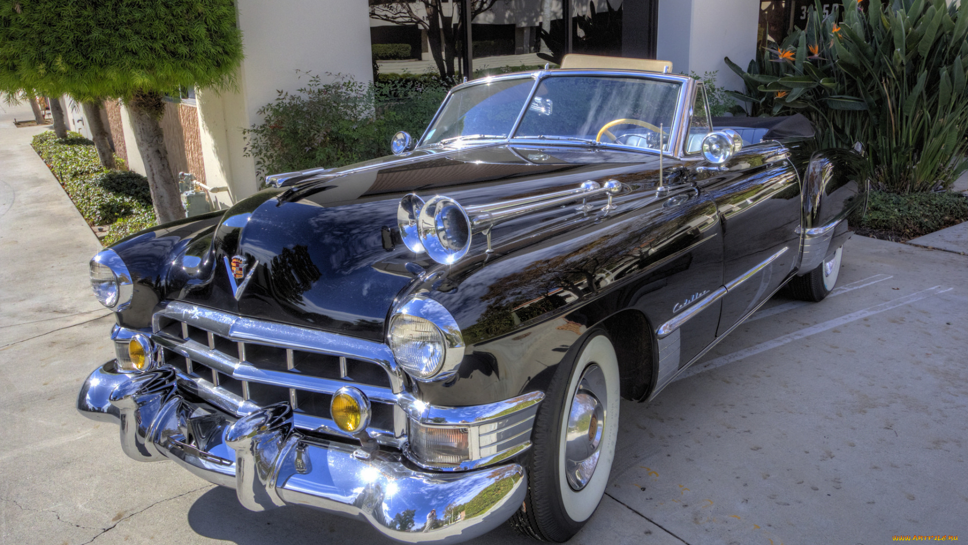 1949, cadillac, convertible, автомобили, выставки, и, уличные, фото, выставка, автошоу