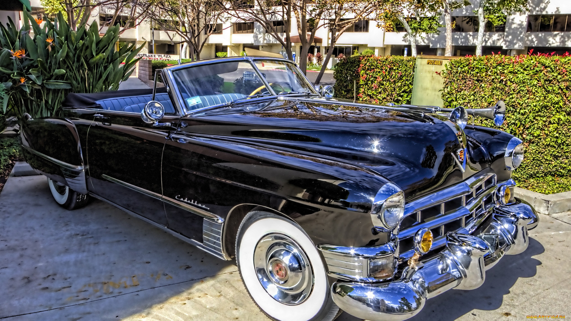 1949, cadillac, convertible, автомобили, выставки, и, уличные, фото, выставка, автошоу