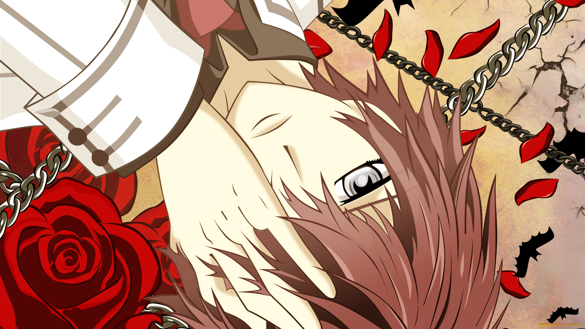 аниме, vampire, knight, shiki, senri, мужчина, рука, розы, цепь, летучая, мышь, лепестки, трещины