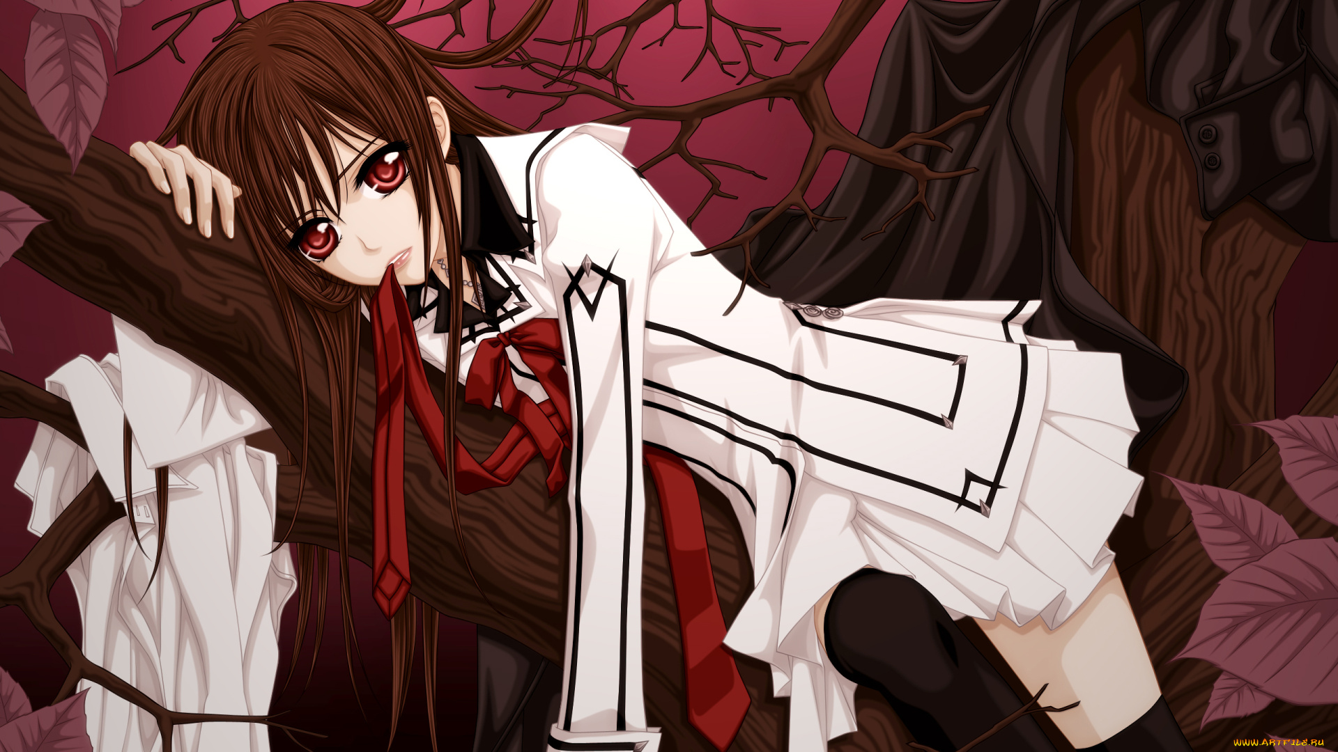 аниме, vampire, knight, yuuki, cross, cilou, девушка, дерево, ветки, плащ, рубашка, галстук, листья