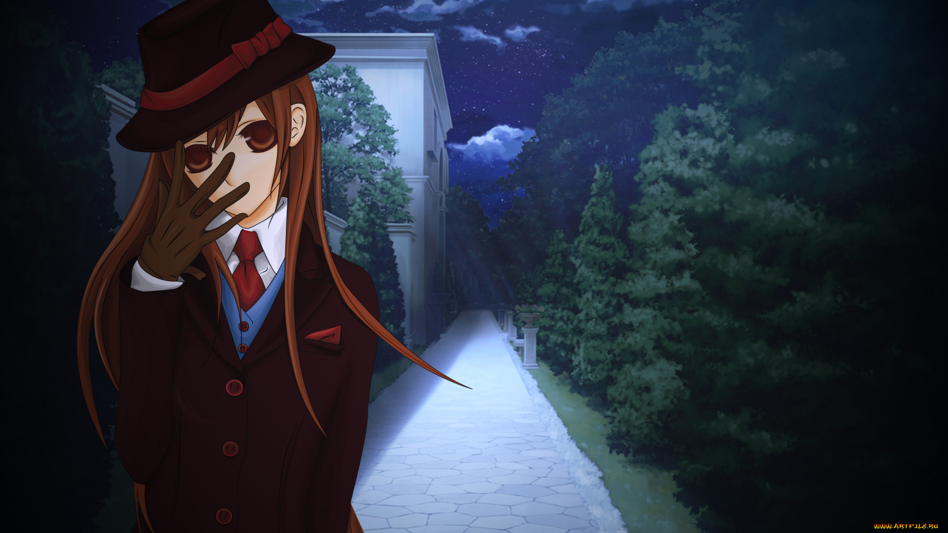 аниме, vampire, knight, yuuki, cross, mahammad, arit, девушка, шляпа, дорога, здание, деревья, ночь, лунный, свет, звезды, облака, вазы