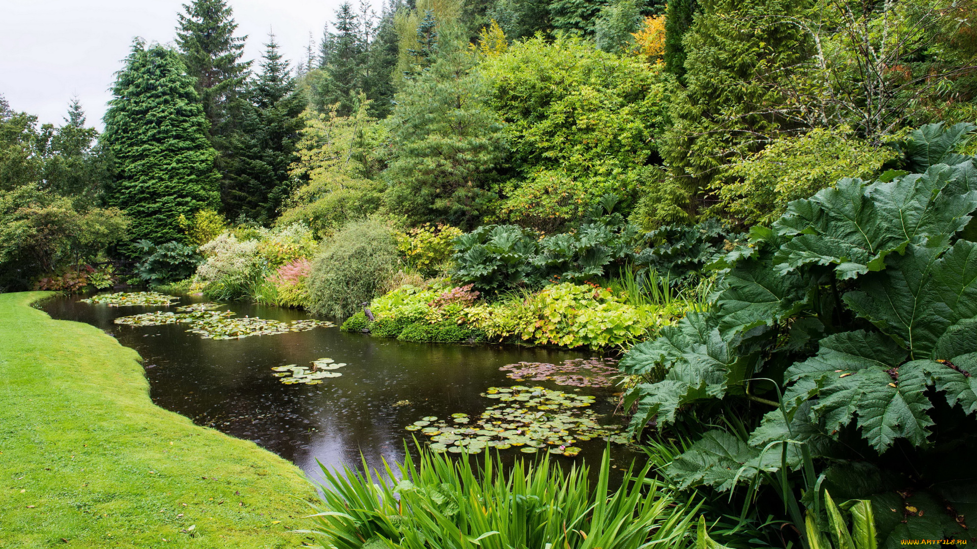 аттадейл, гарденс, шотландия, природа, парк, gardens, attadale, шотландия, ели, река, деревья, scotland, strathcarron