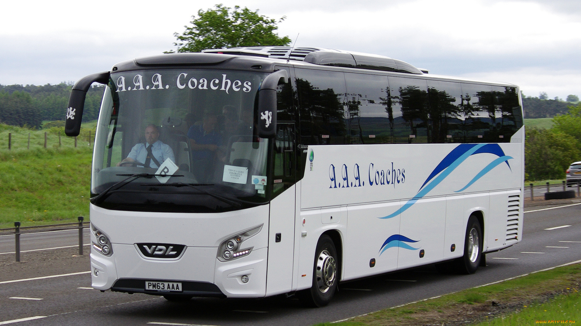 автомобили, автобусы, автобус, туристический