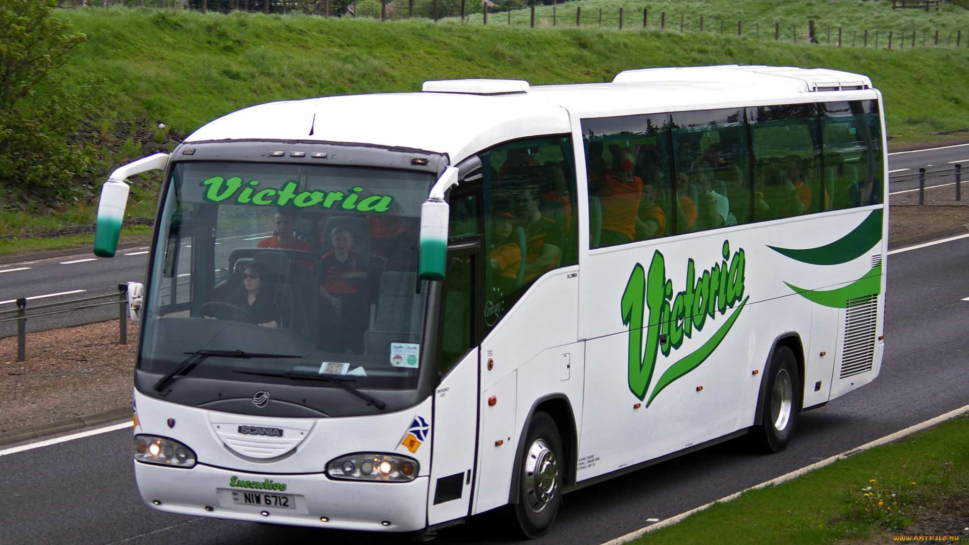 автомобили, автобусы, автобус, туристический