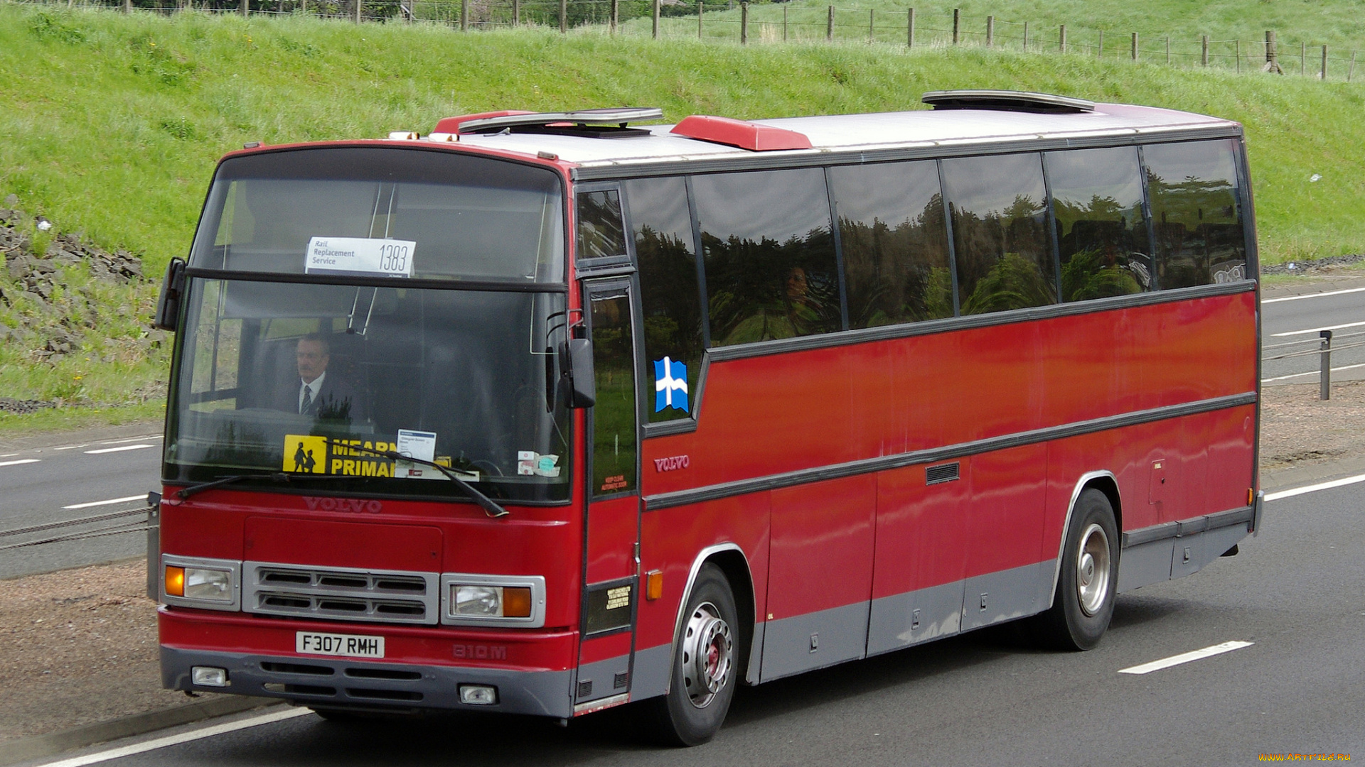 автомобили, автобусы, автобус, туристический