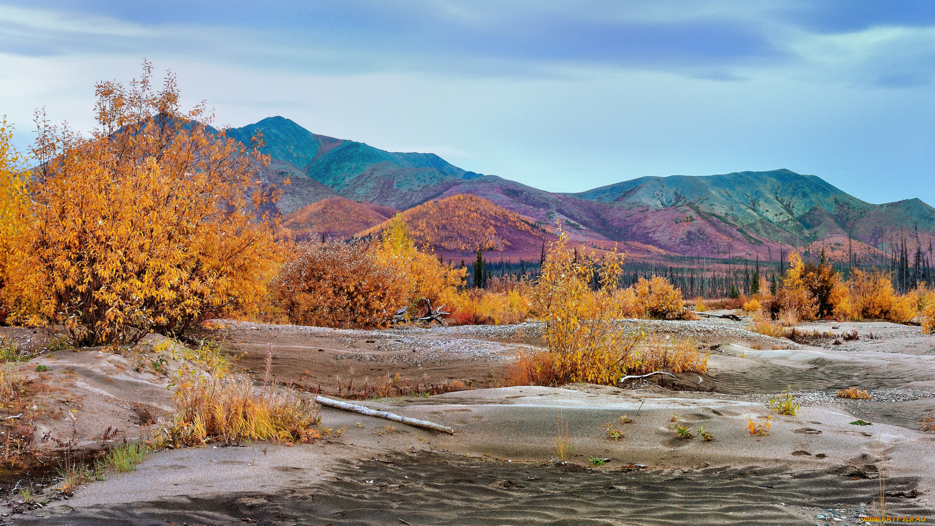 природа, горы, деревья, трава, небо, осень