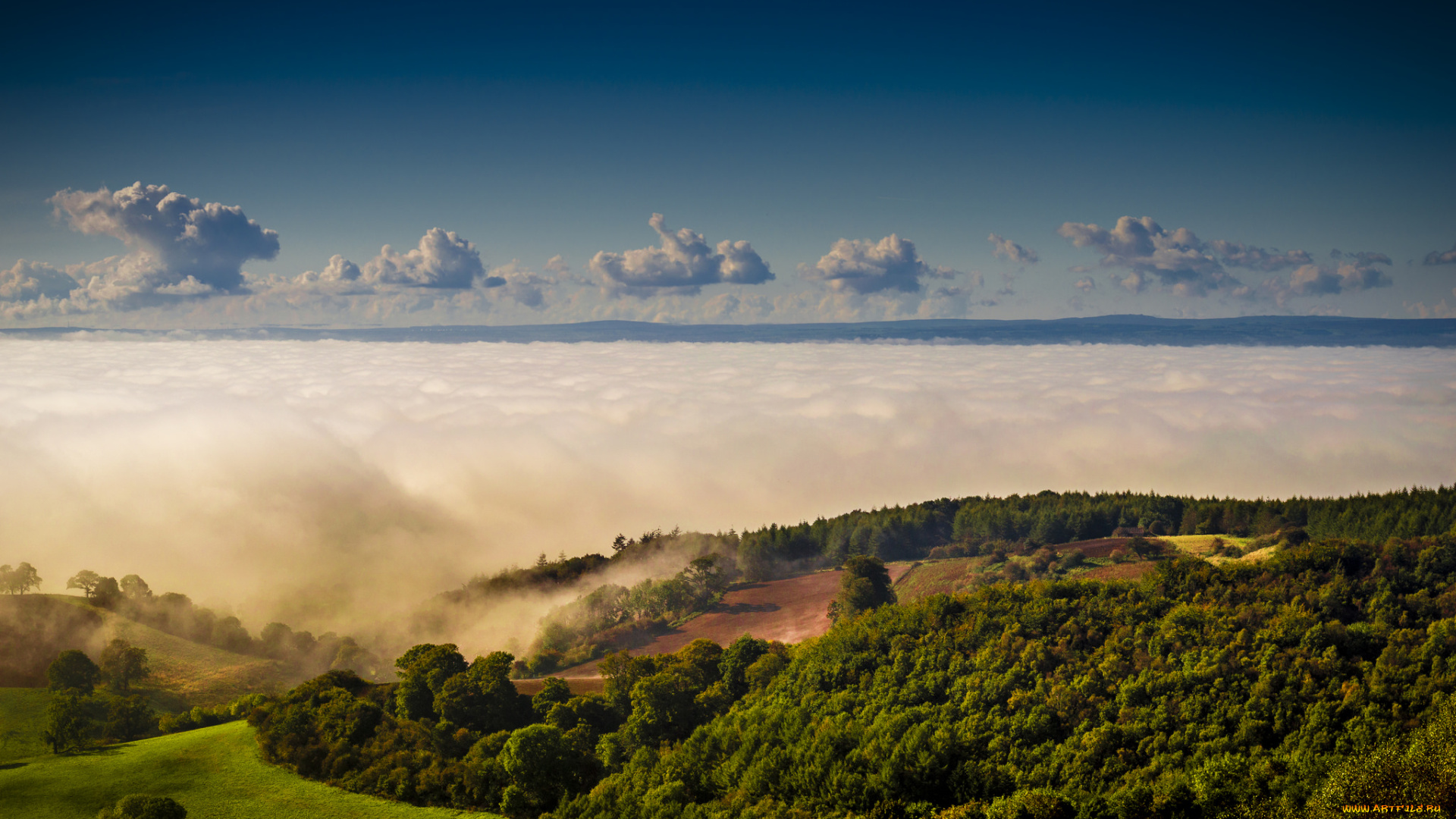 природа, лес, деревья, облака, небо, пейзаж