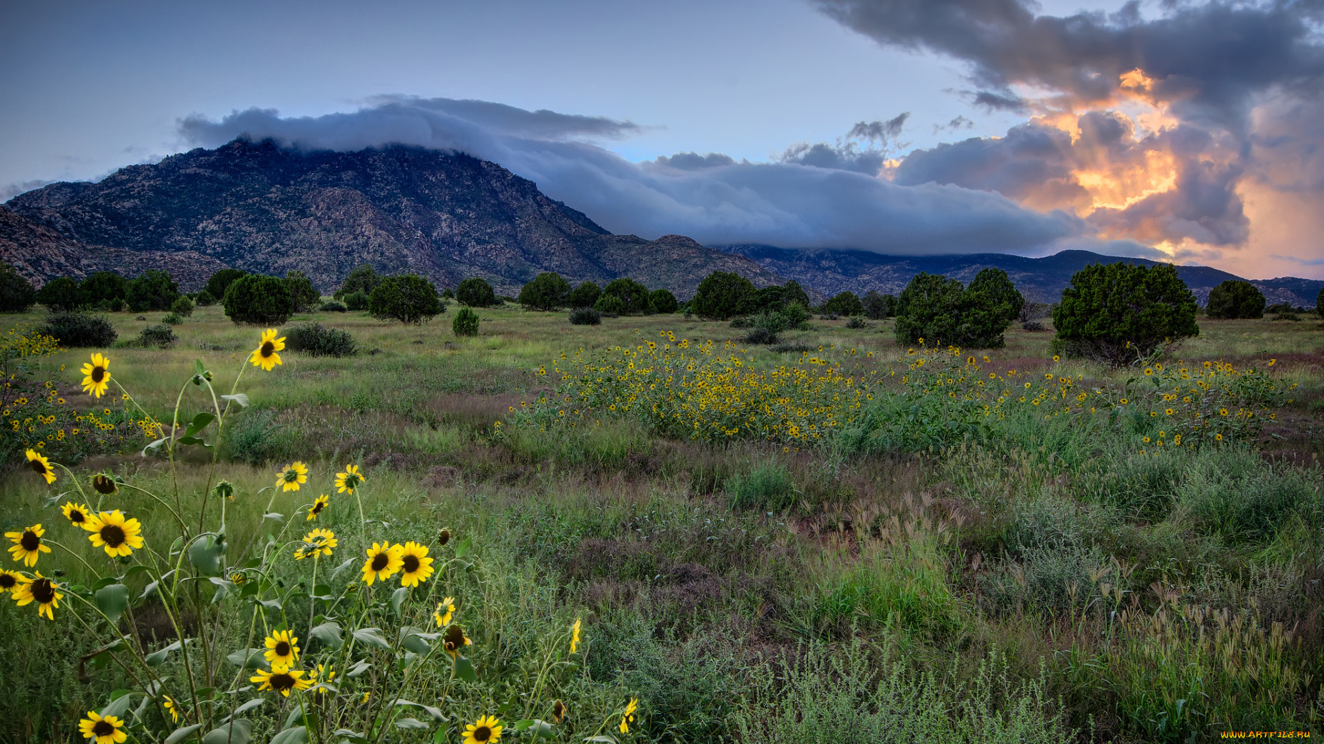 природа, луга, горы, цветы, закат, облака, небо, пейзаж