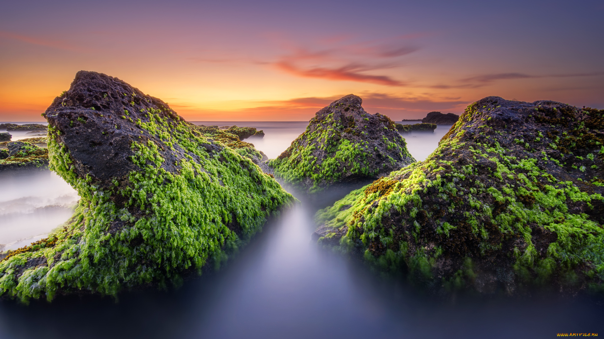 природа, побережье, океан, камни, водоросли, отлив