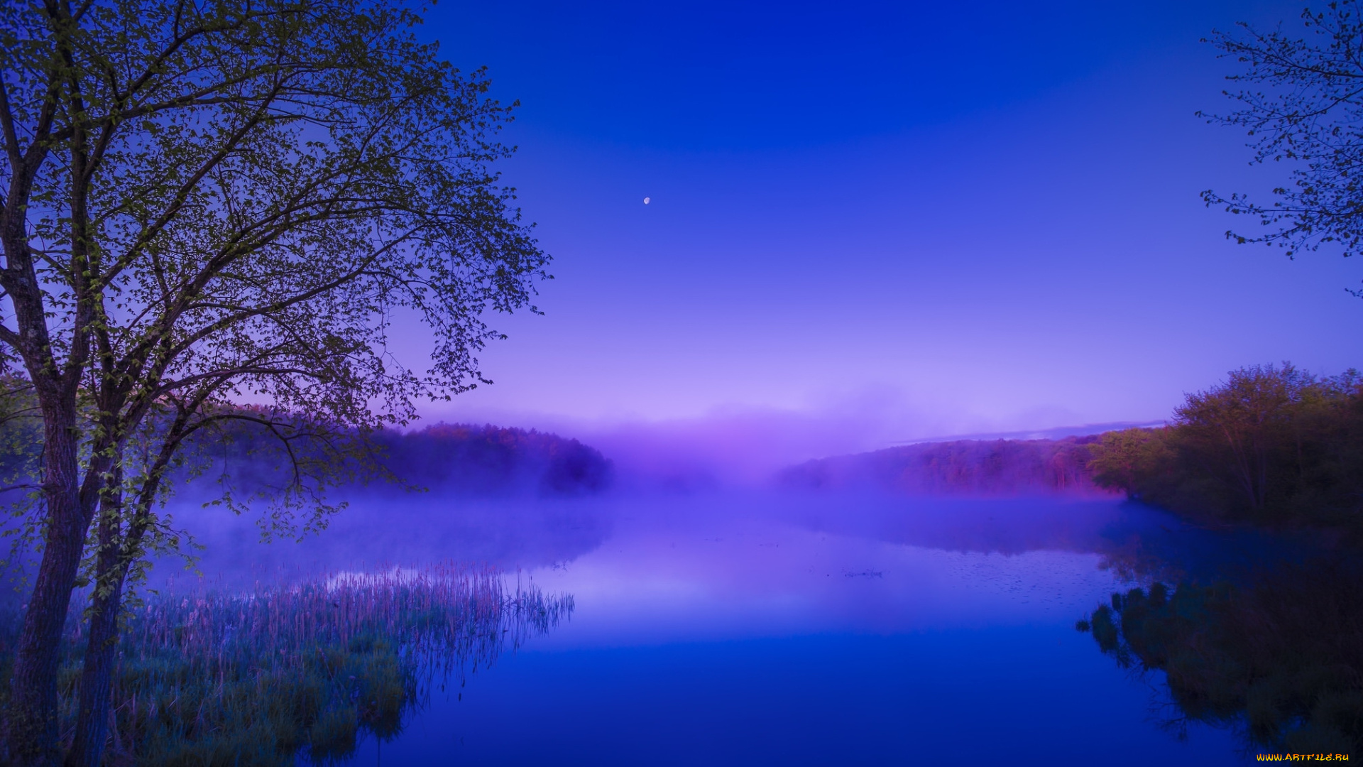 природа, реки, озера, лес, река, утро, рассвет, туман, лето